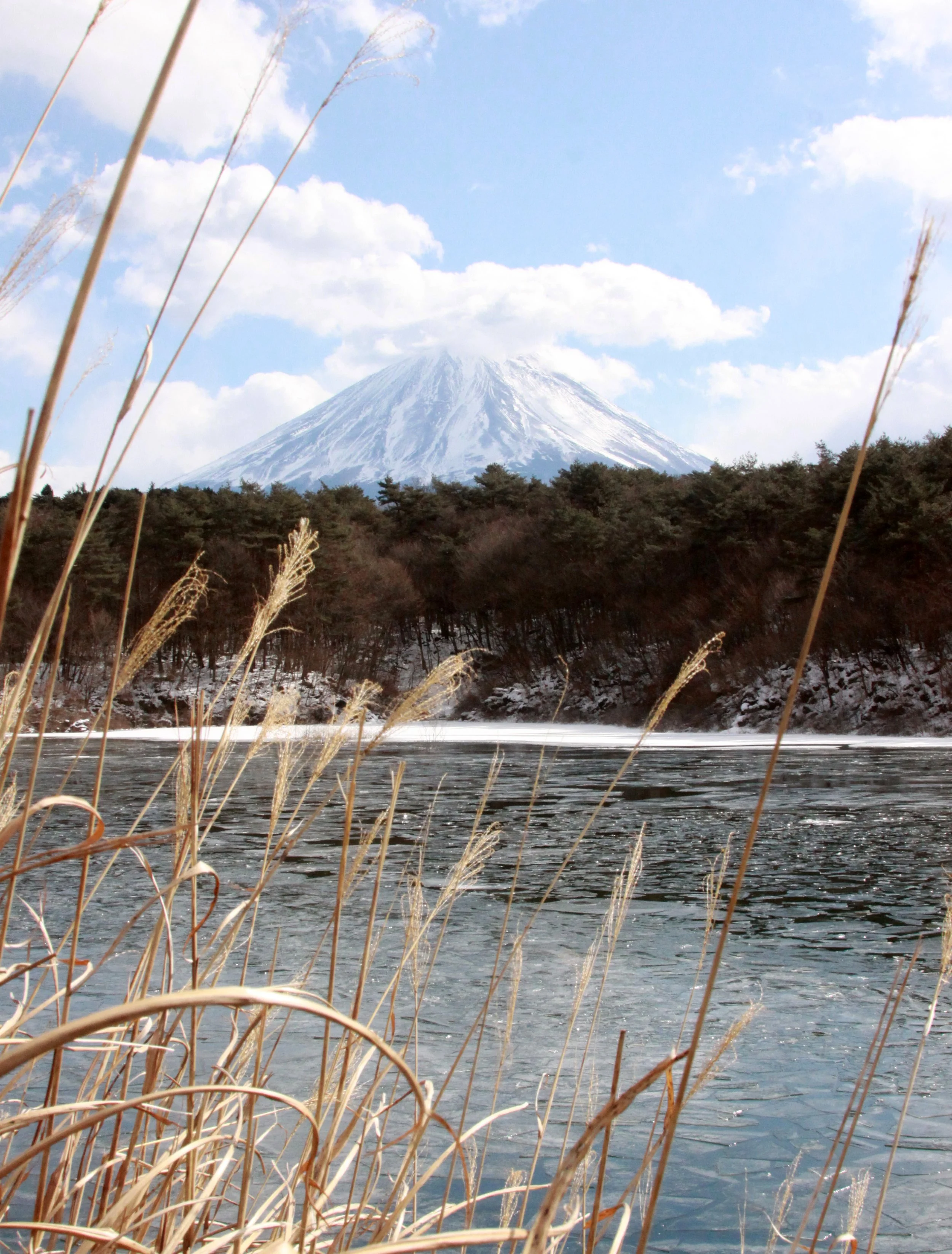 MOUNT FUJI - AS SEEN FROM LAKE SHOJI JAPAN (30).JPG
