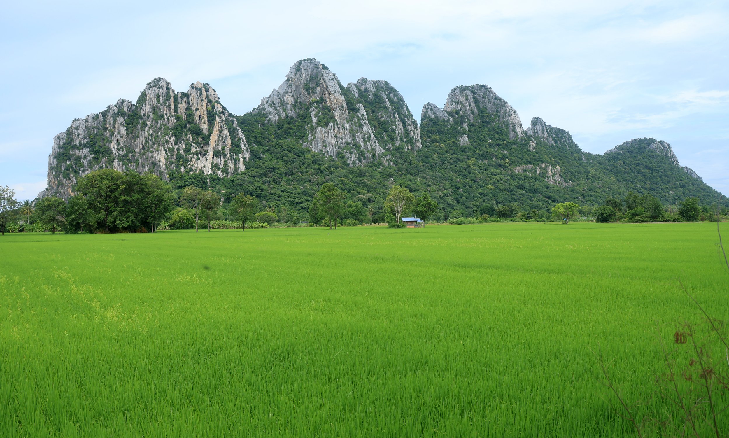 Khao Nor Khao Kaew Bat Viewing Nakhon Sawan (31).jpg