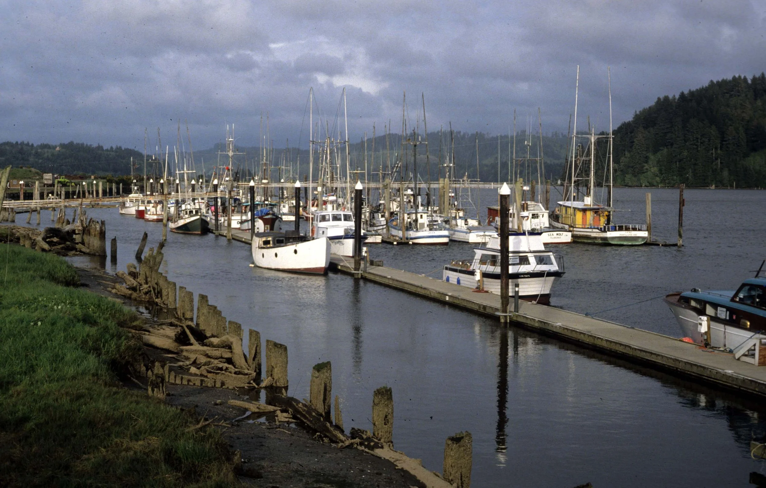 OREGON - COASTAL FISHING FLEET.jpg