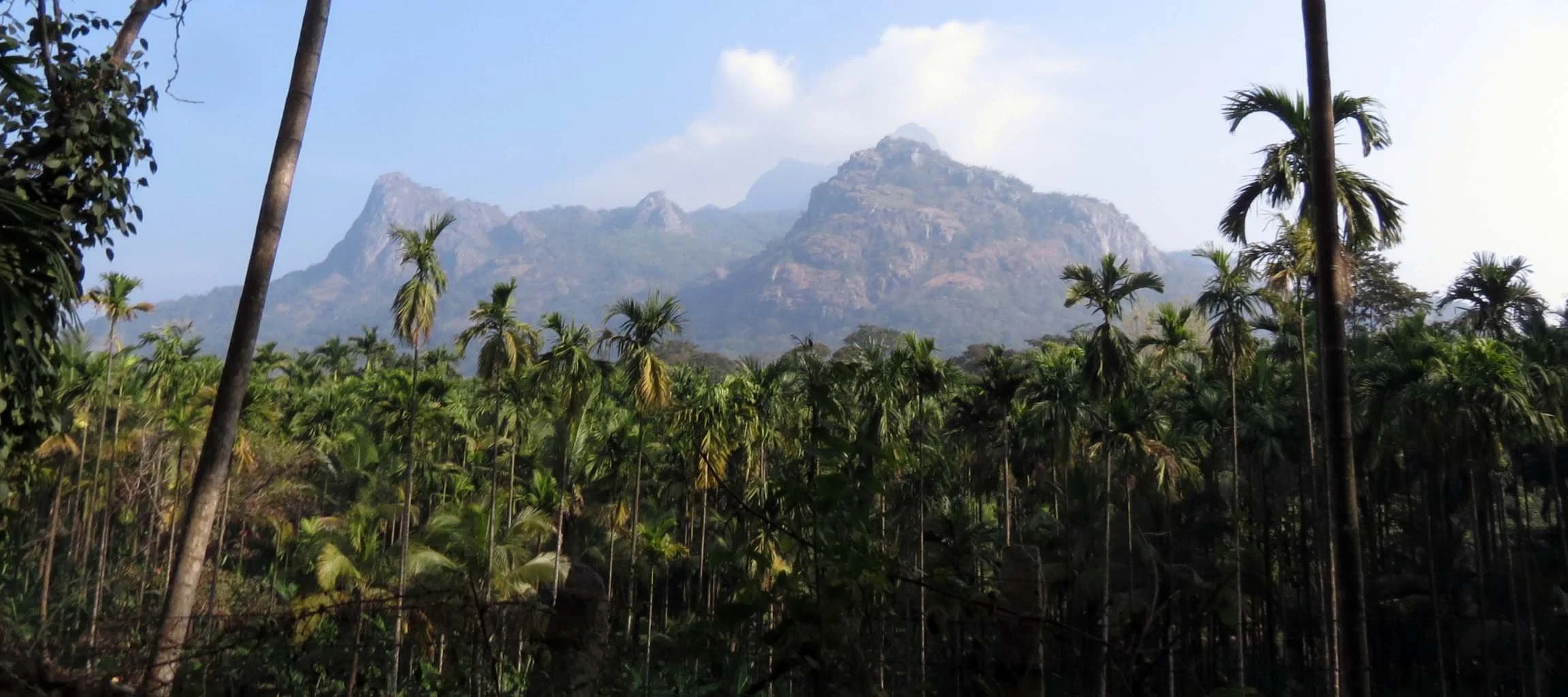 VALPARAI INDIA (4).JPG