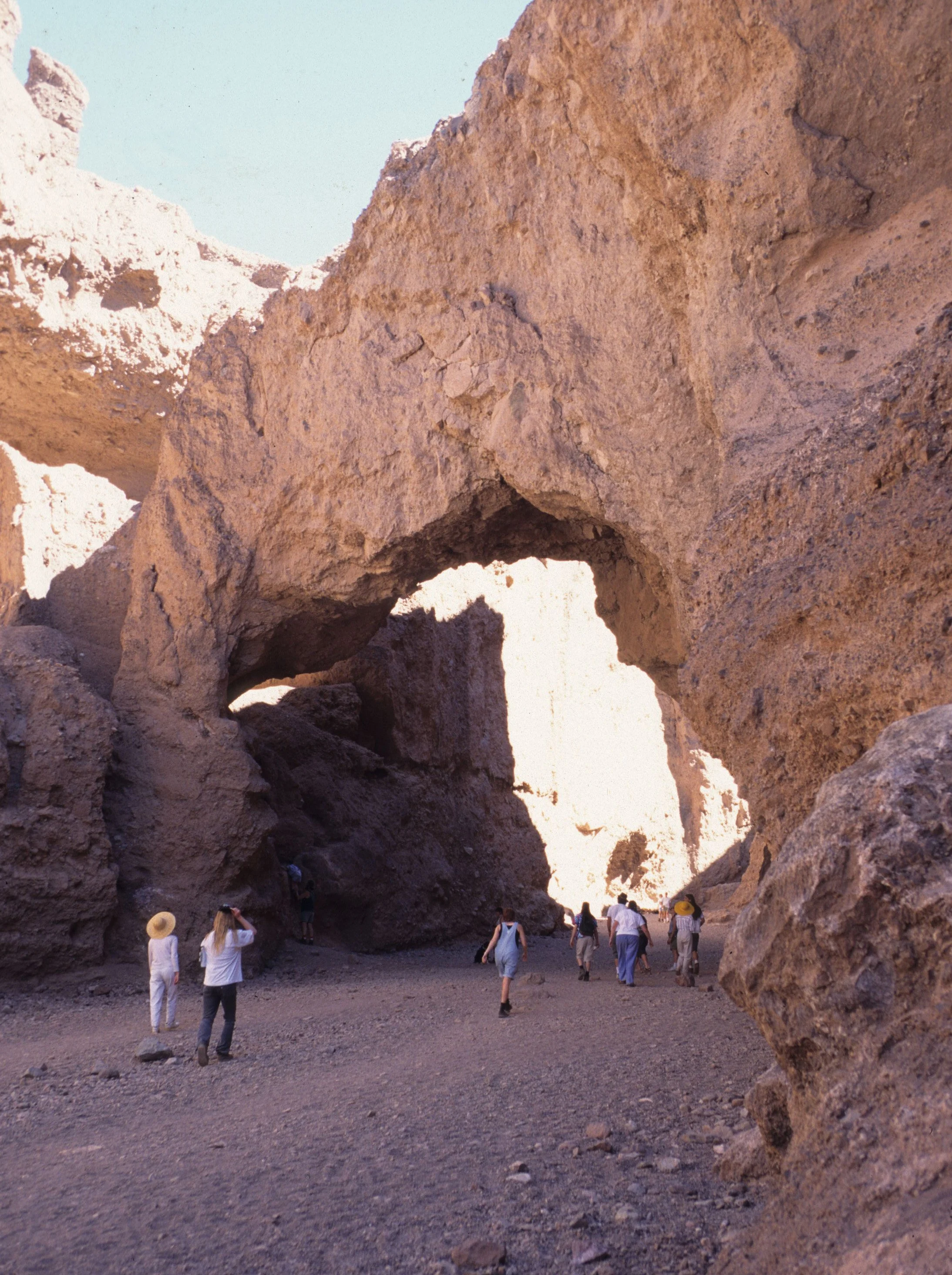 DEATH VALLEY - ORGAN PIPES TRAIL A.jpg
