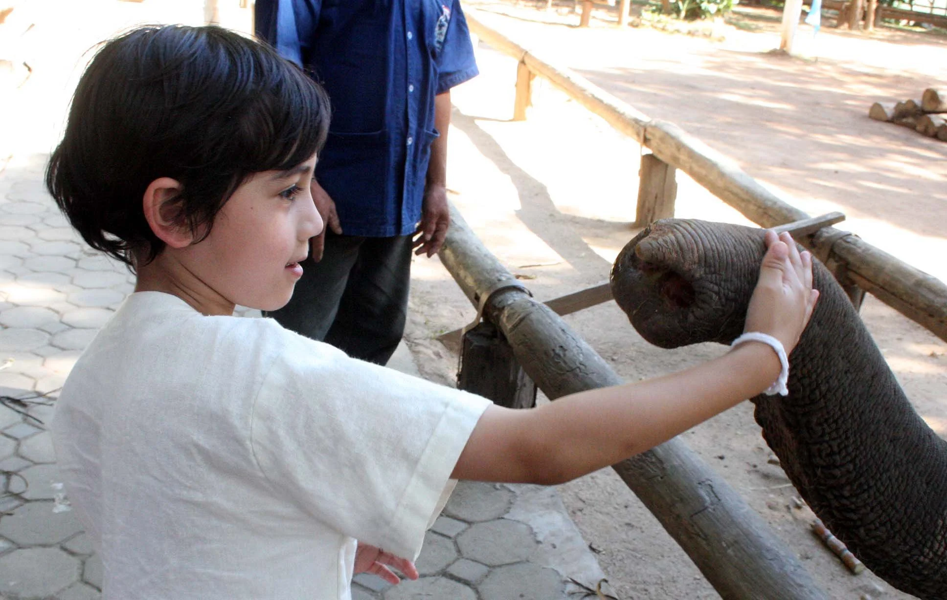 2008 Lampang City & Elephant Center (116).JPG