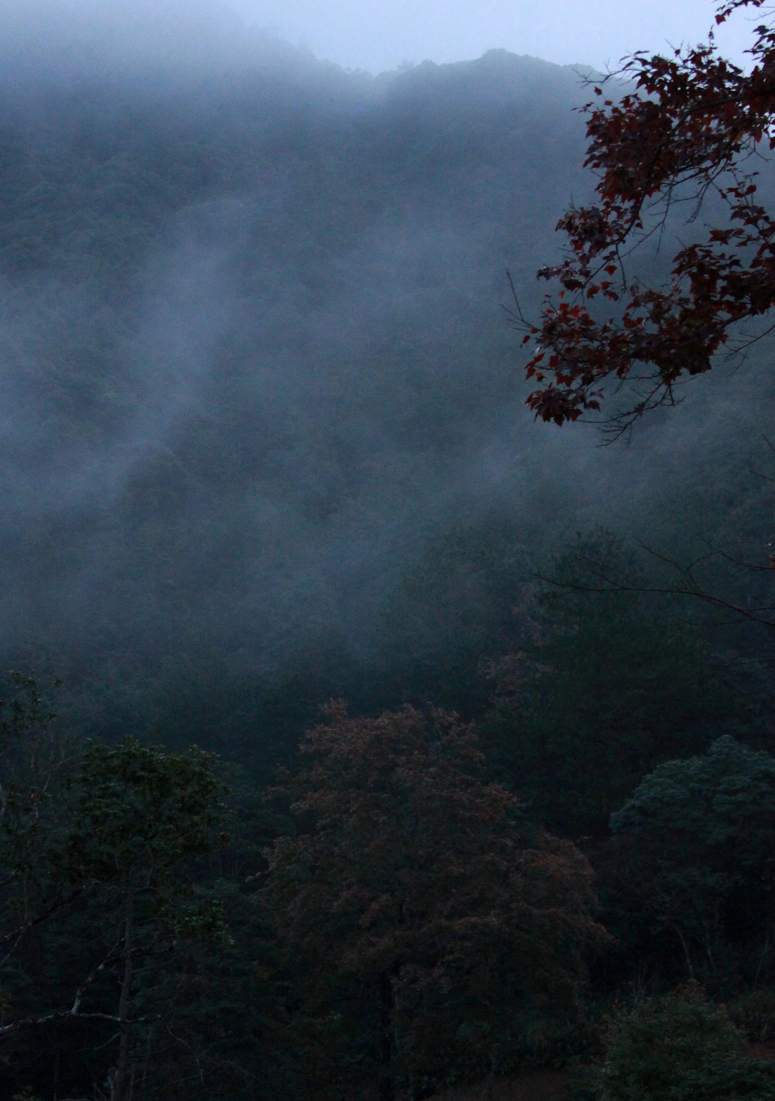 MEIHUASHAN - FUJIAN CHINA (42).JPG