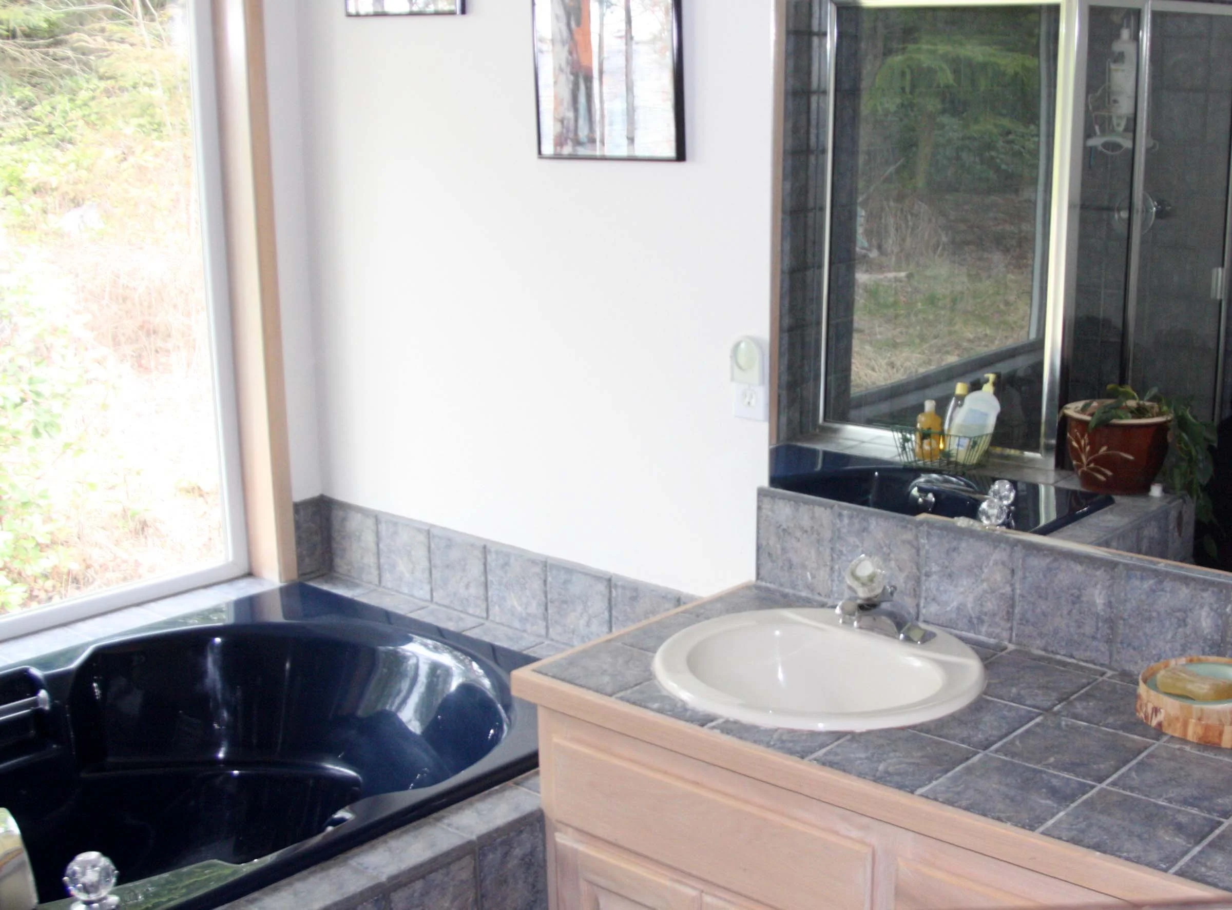 2009-4-24 - HOUSE - MASTER BATH - THIRD LEVEL (6).JPG