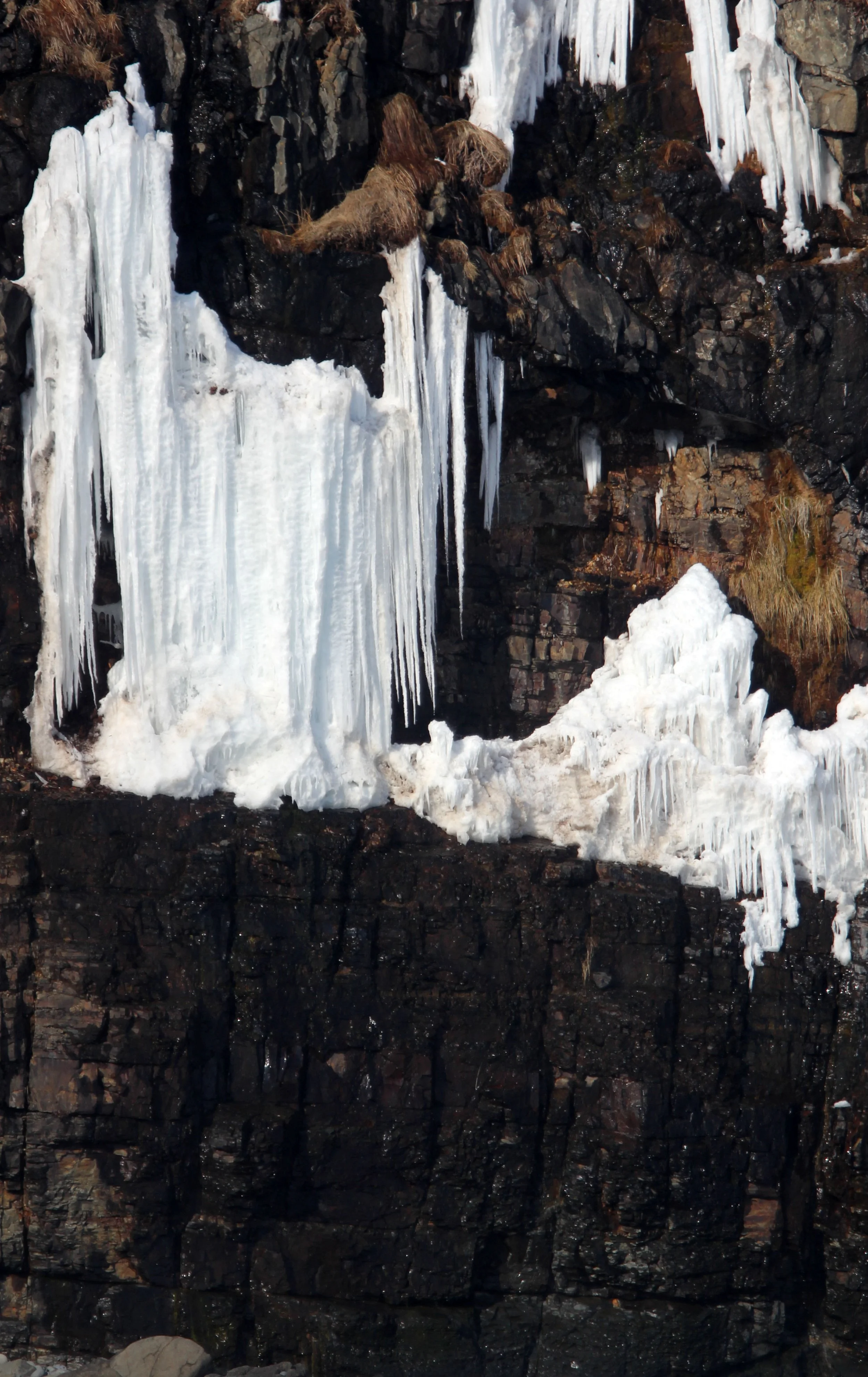 HANASAKI CAPE - NEMURO PENINSULA - HOKKAIDO JAPAN (8).JPG