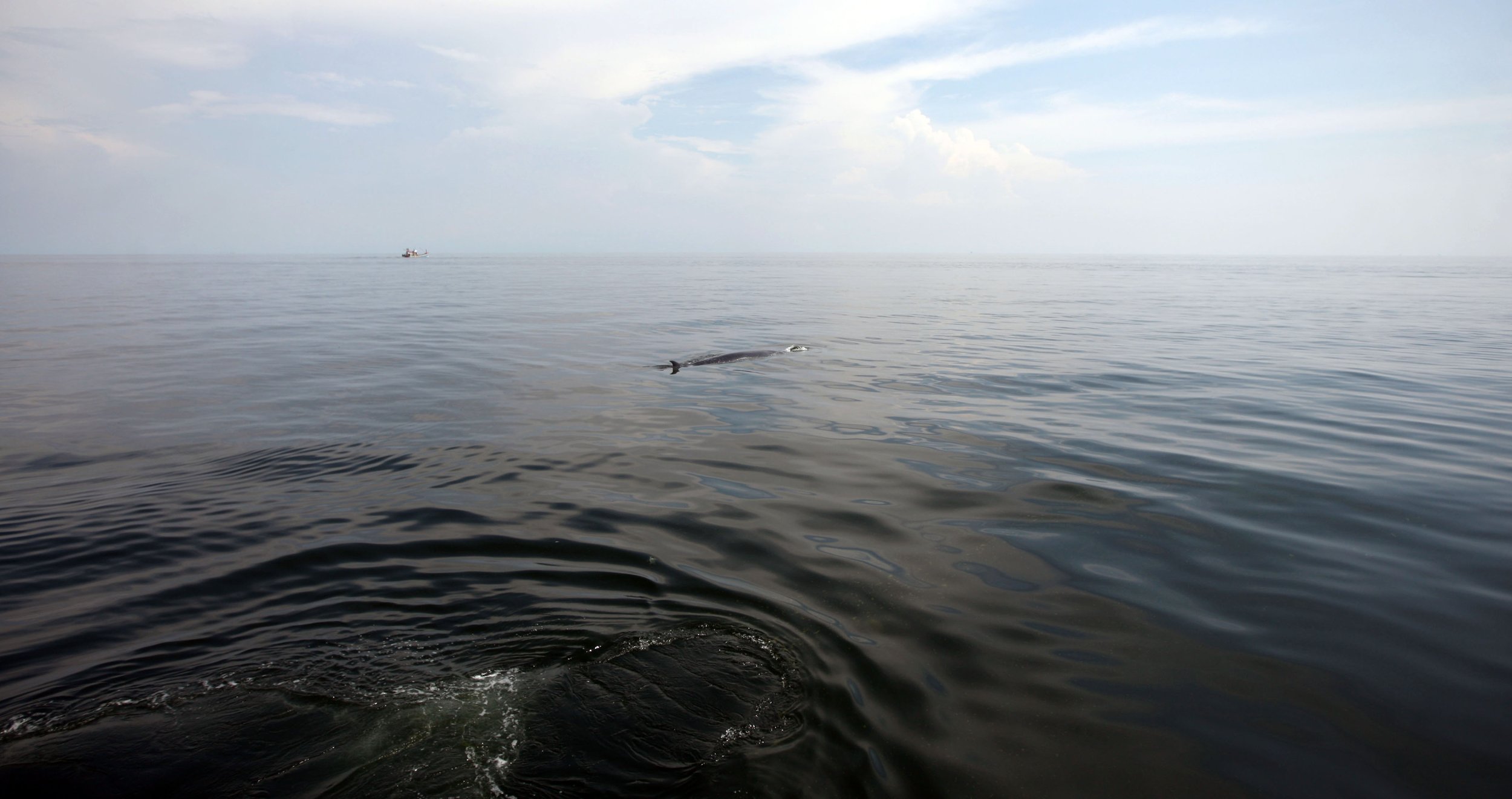 2014 Amphawa Trip to See Whales from Baan Taboon (35).JPG