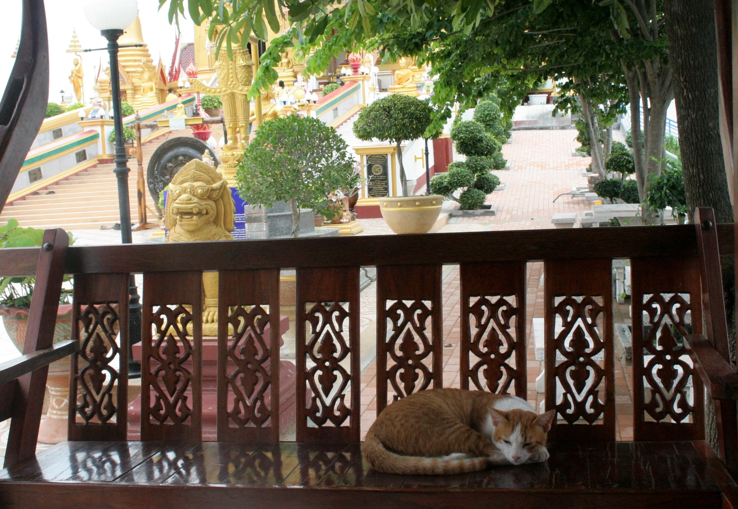 BUENG BORAPHET THAILAND - NAKHON SAWAN THAILAND (18).JPG