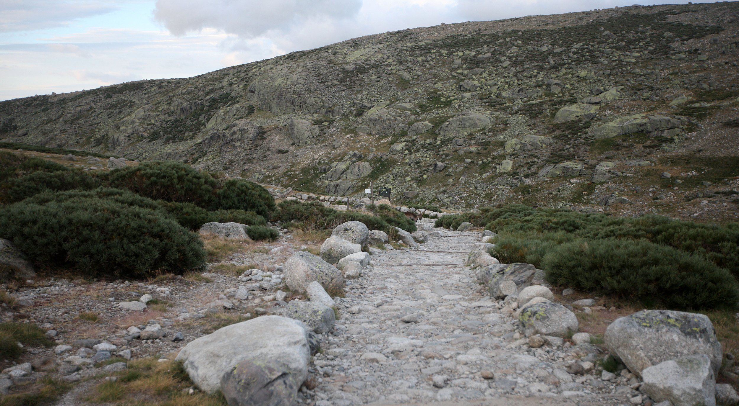 SIERRA DE GREDOS NATIONAL PARK SPAIN (13).JPG