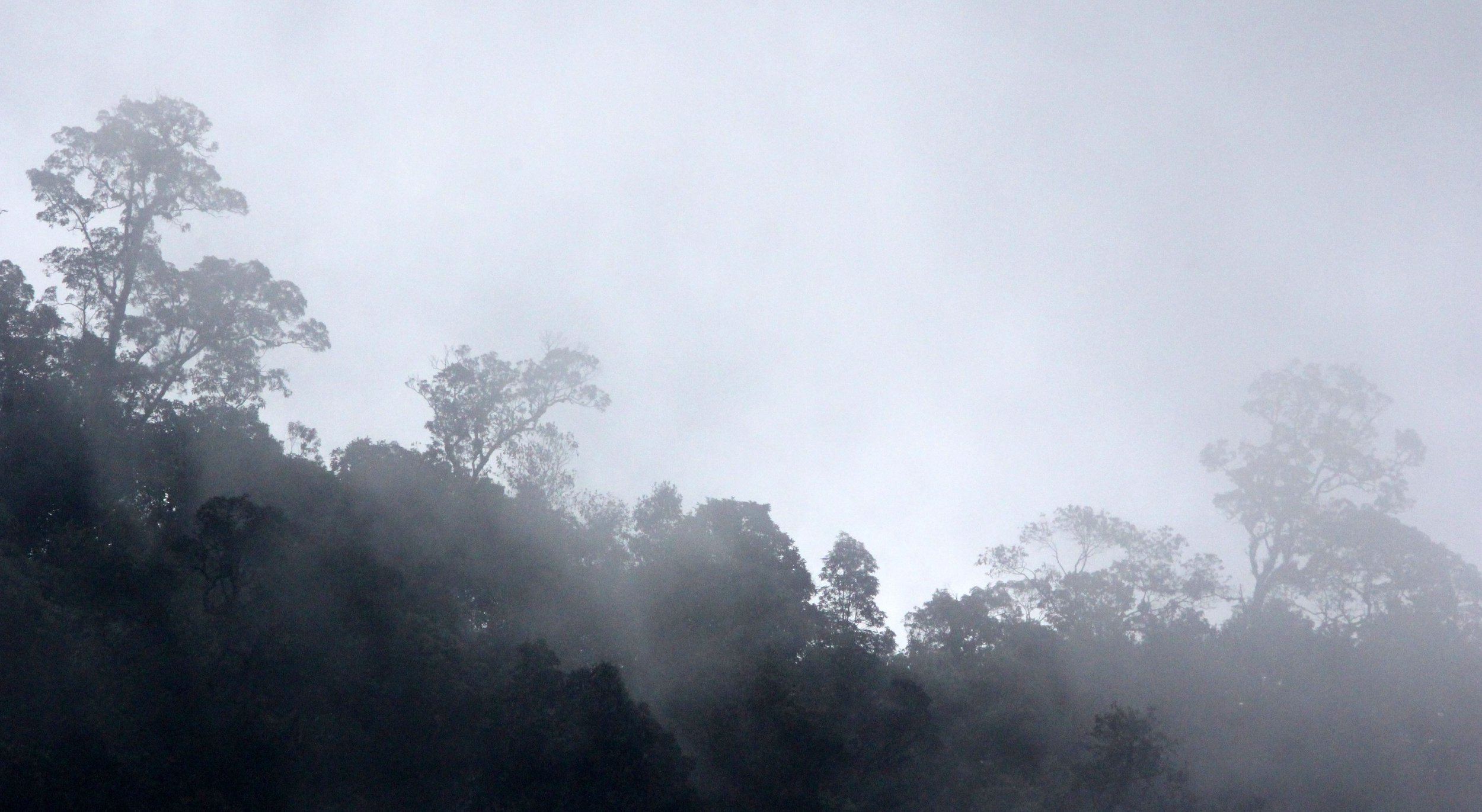 GEDE NATIONAL PARK JAVA BARAT INDONESIA (2).JPG