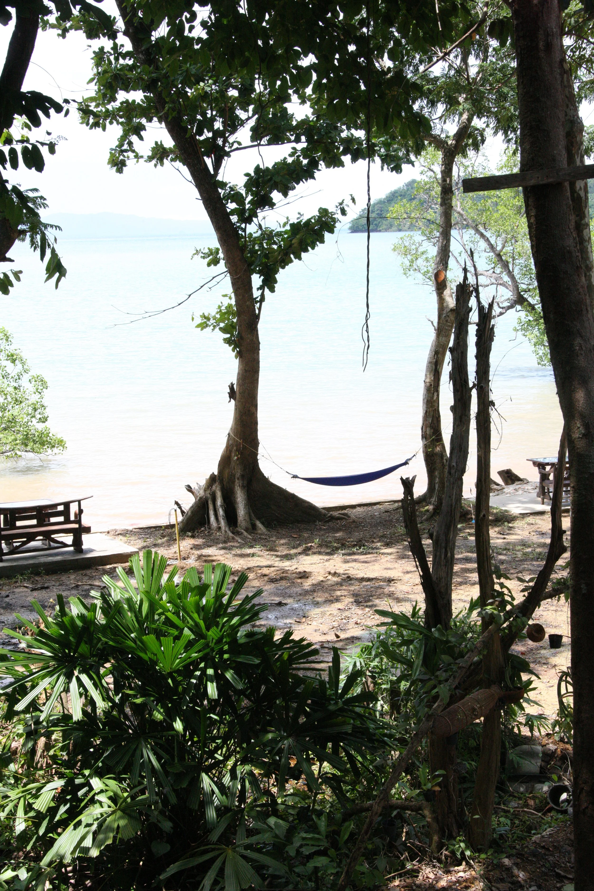 2016 Koh Lanta Landscapes, House Pictures and Family Fun (516).JPG