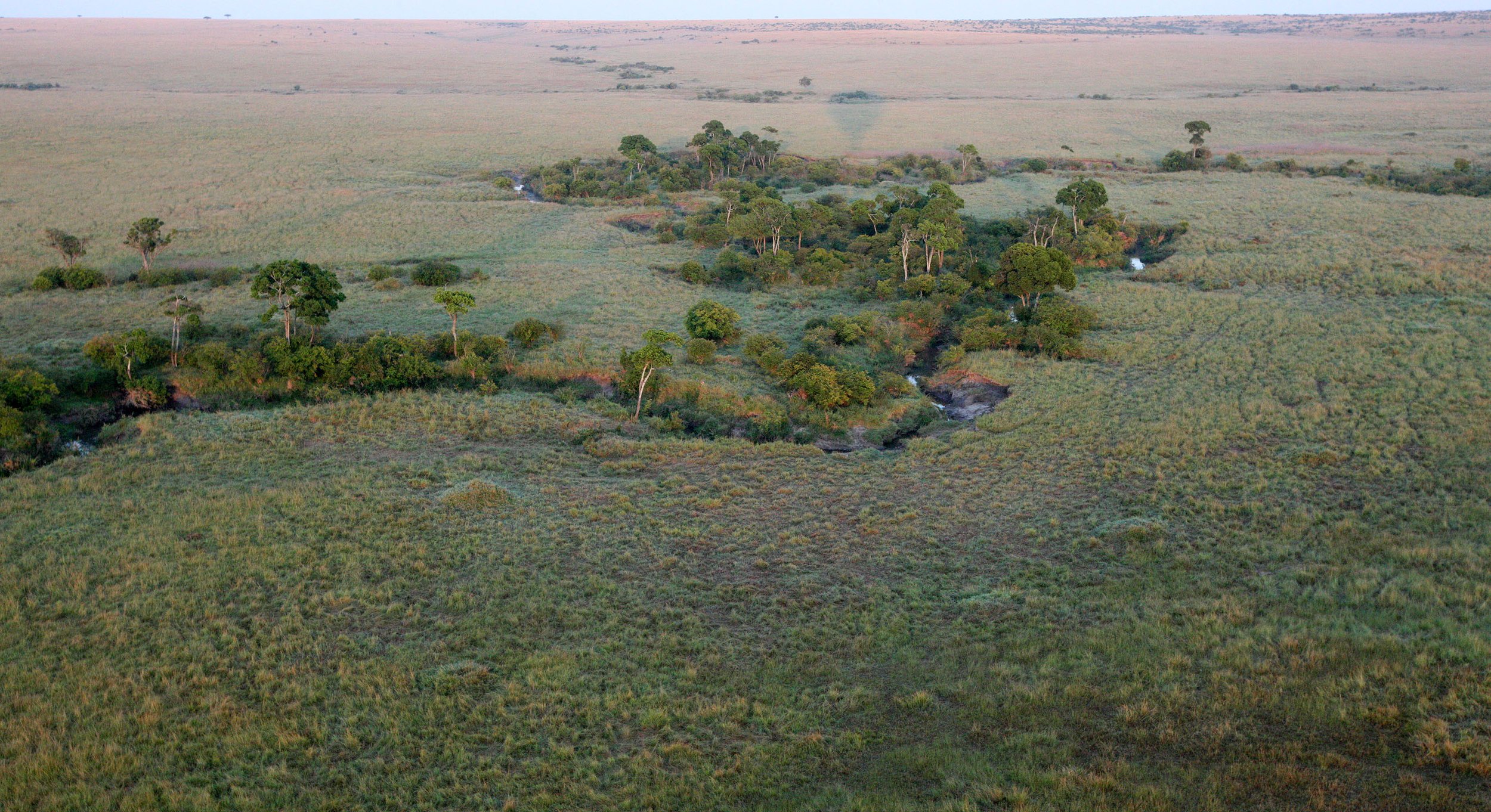 MASAI MARA NATIONAL PARK KENYA (88).JPG