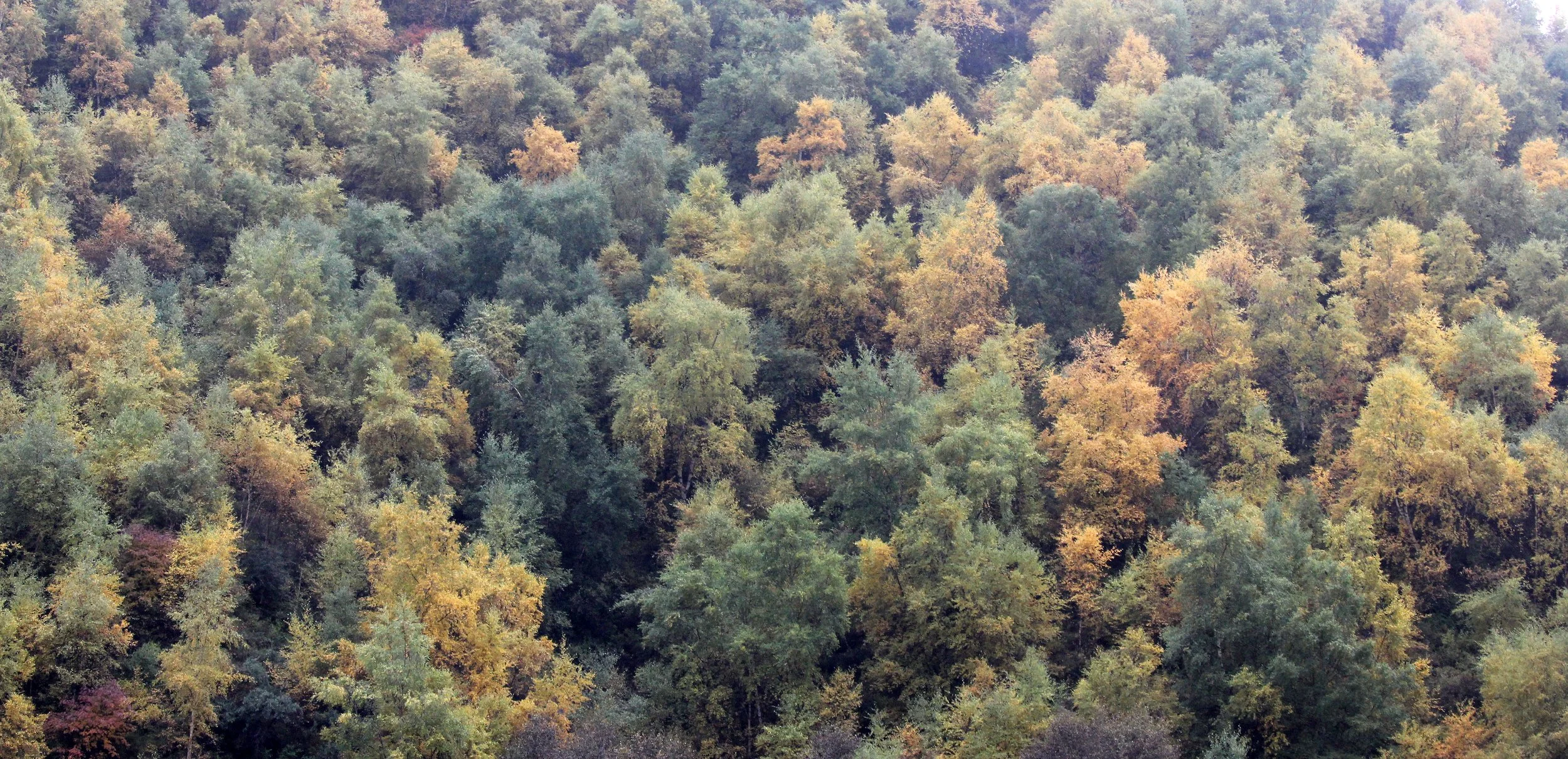 XINING CITY - QINGHAI PROVINCE (14).JPG