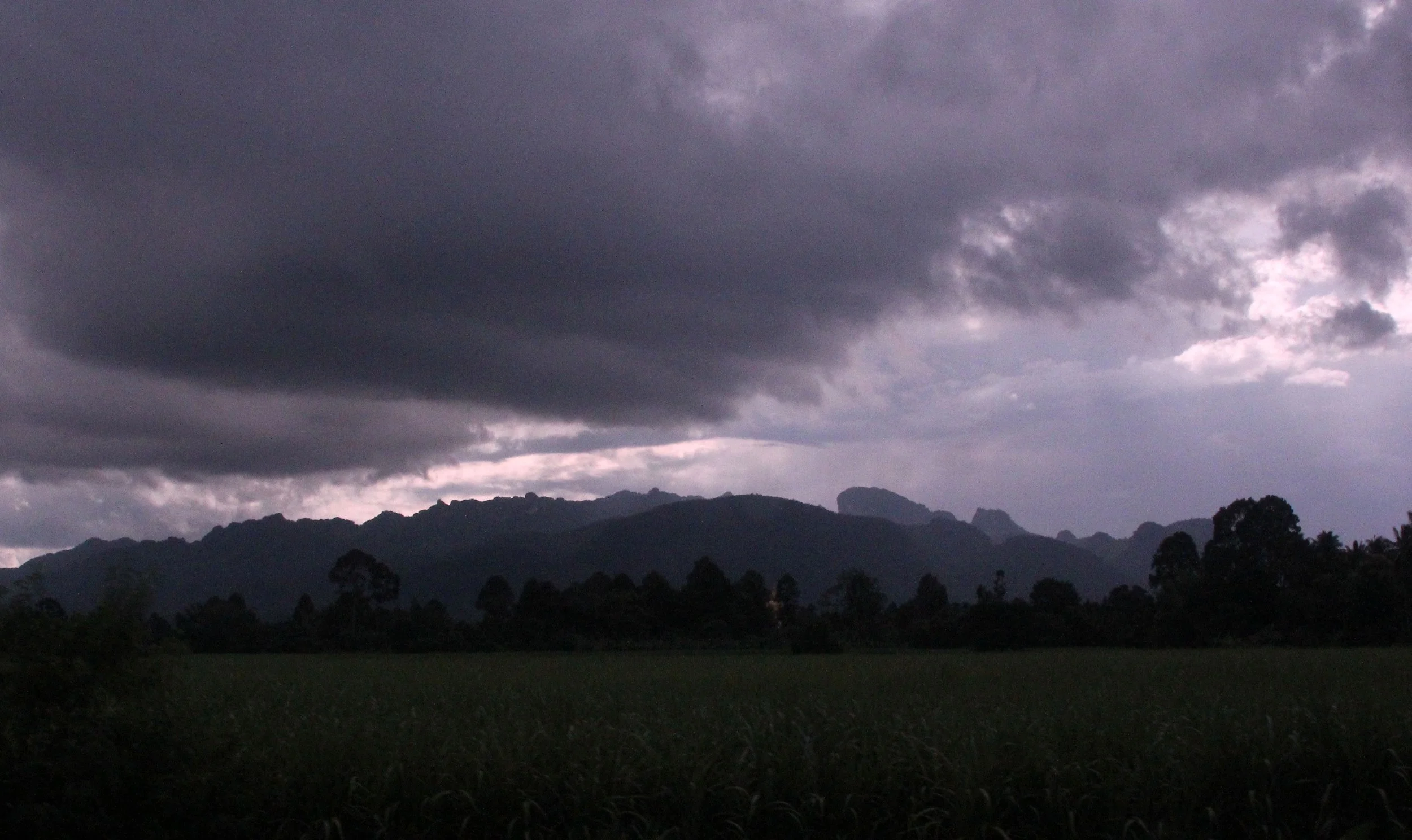 2017 Phu Khieo Wildlife Sanctuary  (1).JPG