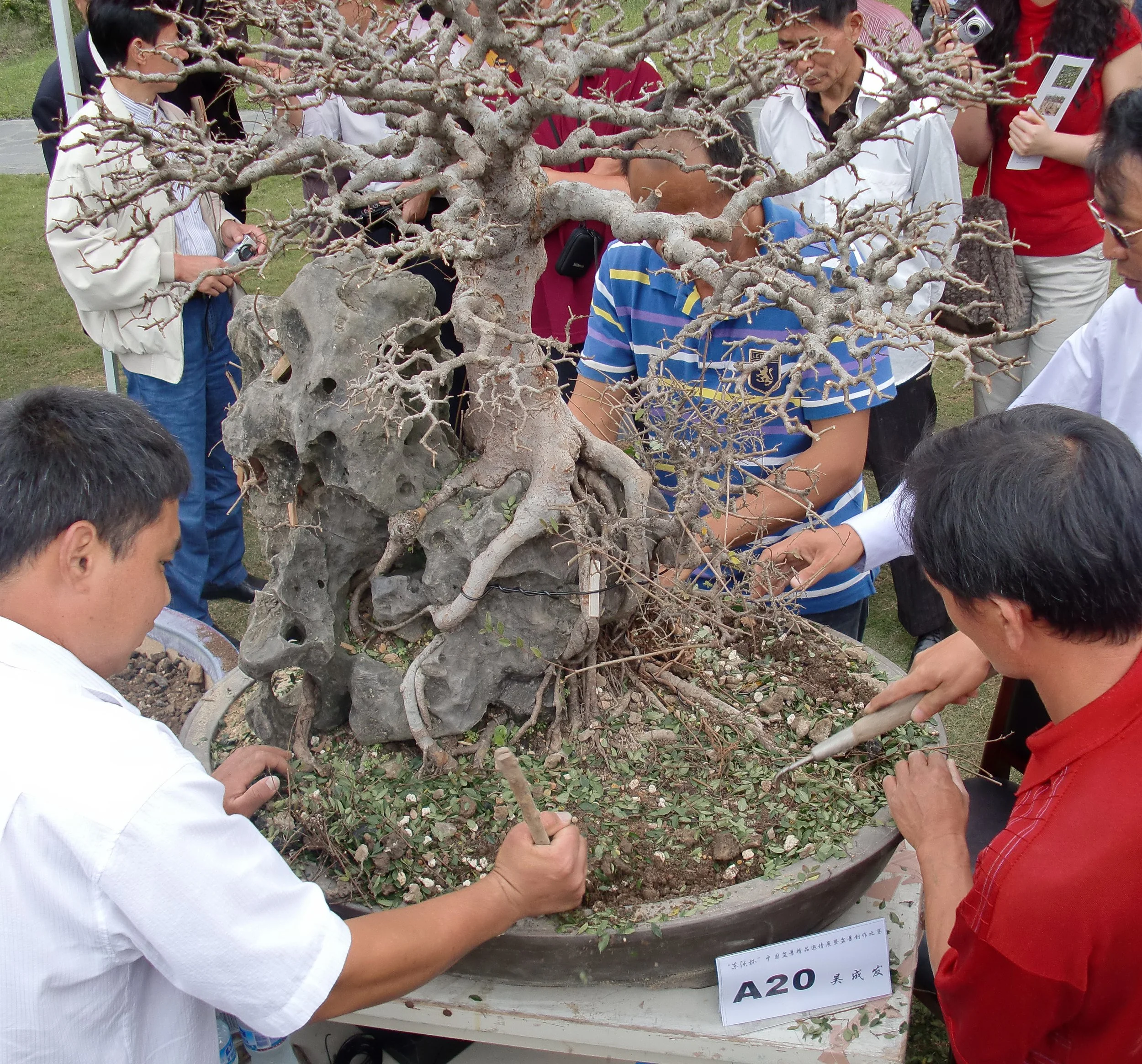2010-9-30 SHANGHAI BOTANICAL GARDEN (7).JPG