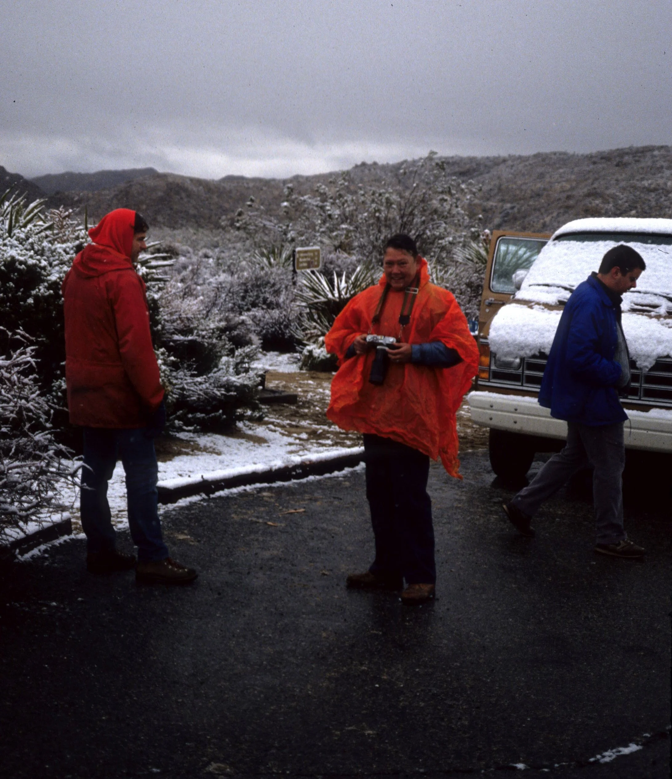 JOSHUA TREE - SNOW WITH MARDA WEST.jpg