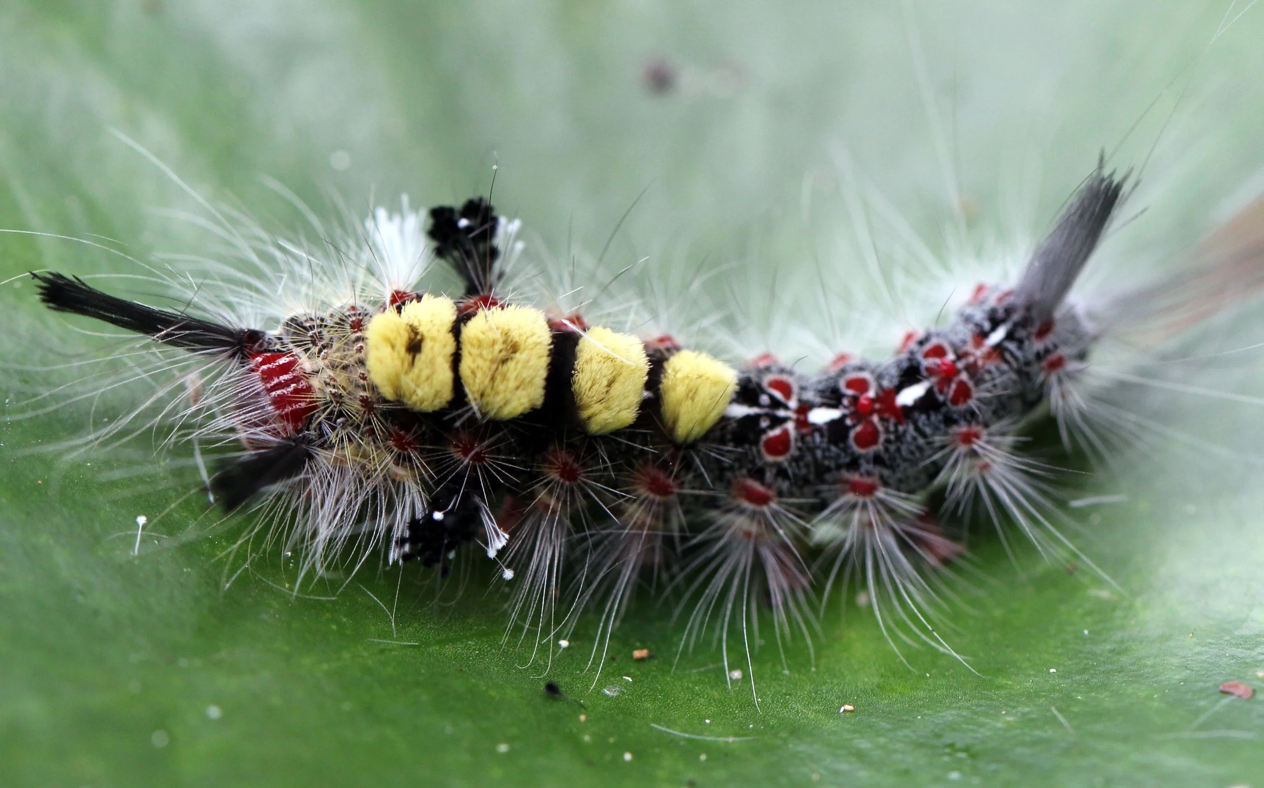 2013 Cha'am and Petchaburi with Family & Friends (18).JPG