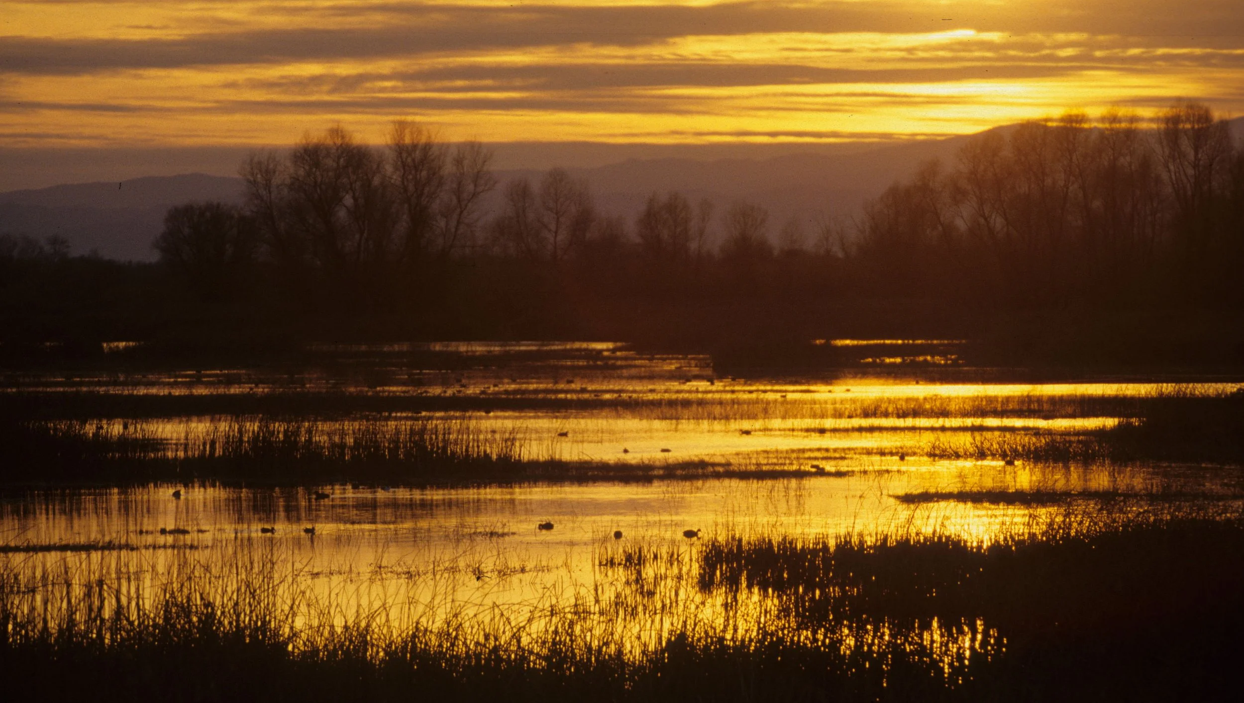 CALIFORNIA - KLAMMATH BASIN SUNSET D.jpg