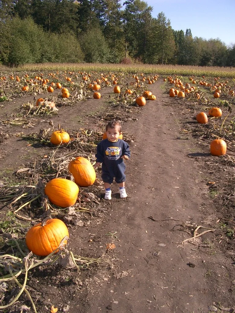 2003-10-26 PUMPKIN PATCH PORT ANGELES (20).JPG