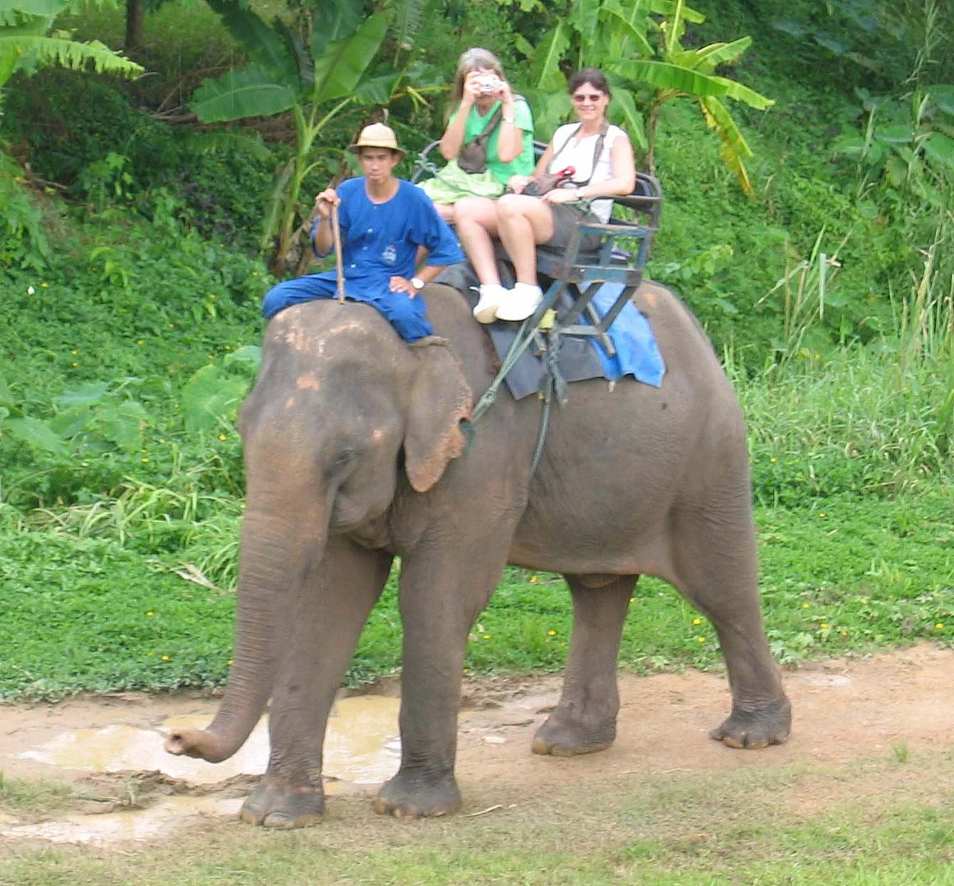 2008 Lampang City & Elephant Center (121).jpg