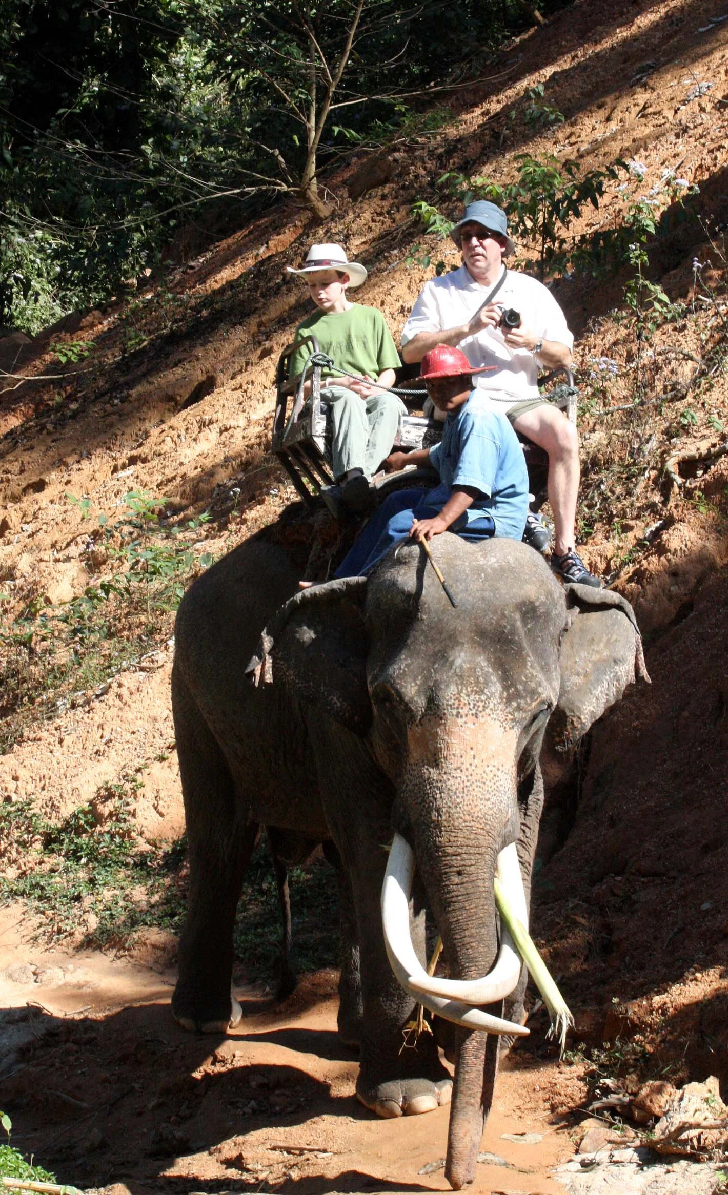 2008 Lampang City & Elephant Center (67).JPG
