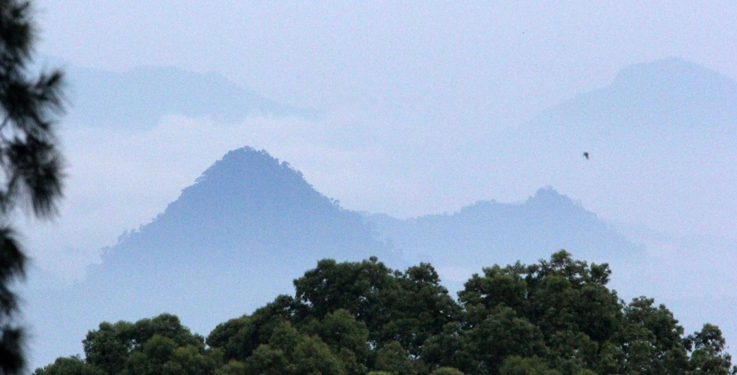 BOGOR - GEDE NATIONAL PARK JAVA BARAT INDONESIA (1).JPG