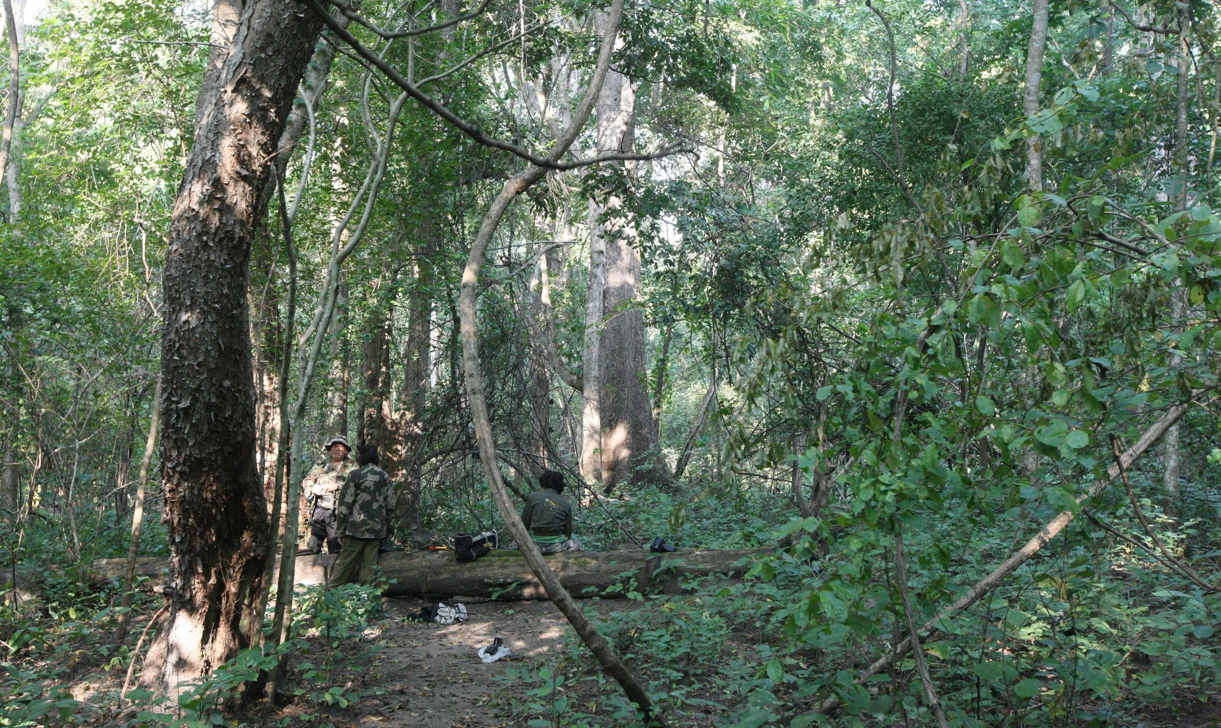 2014 Huai Kha Khaeng Bruce Kekule Trip (187).JPG