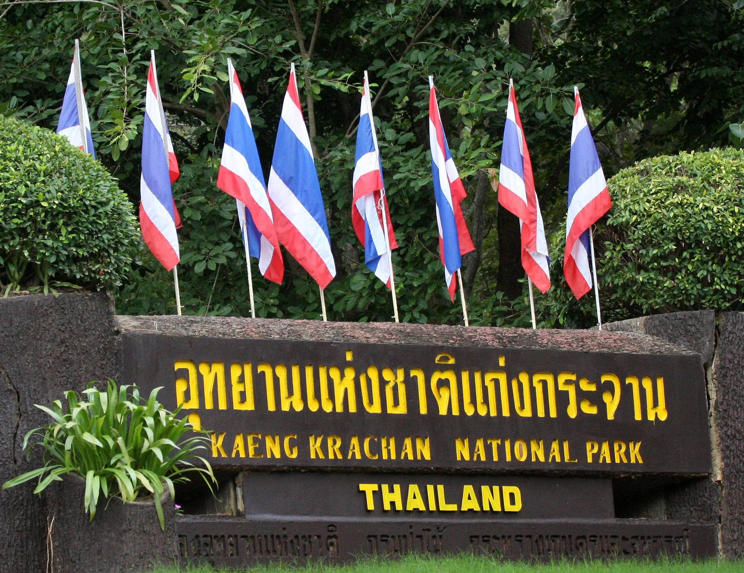 2011 Kaeng Krachan NP Trip with Cokie & Som (23).JPG