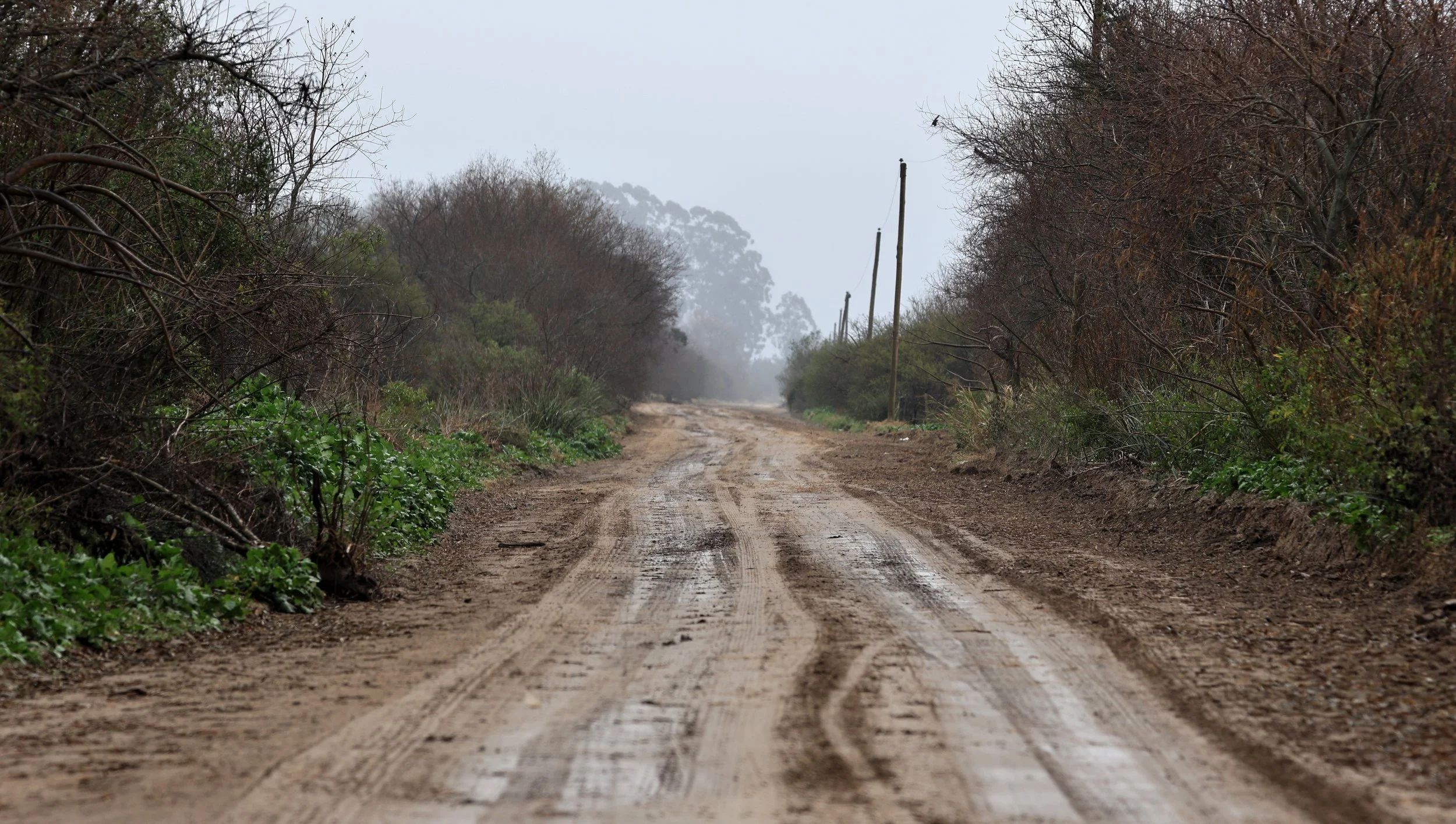 When wet, the dominantly clay roads in the reserve became slick to the point where they were treacherous even when there was no incline.