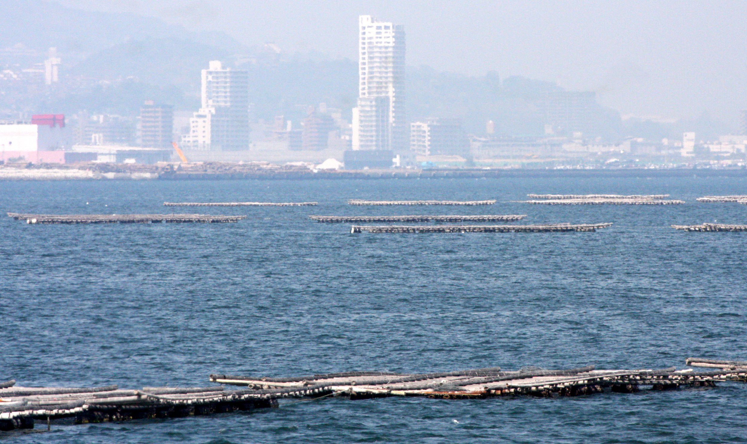 MIYAJIMA - MAY 2009 - OYSTER FARMS IN MIYAJIMA BAY.JPG