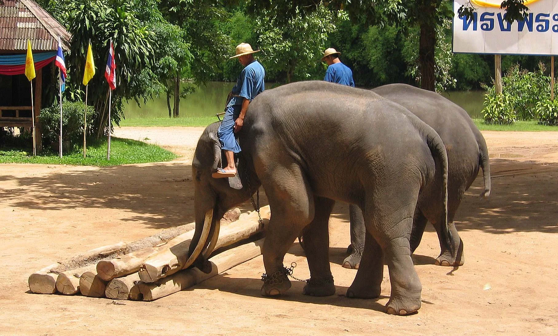 2008 Lampang City & Elephant Center (140).jpg