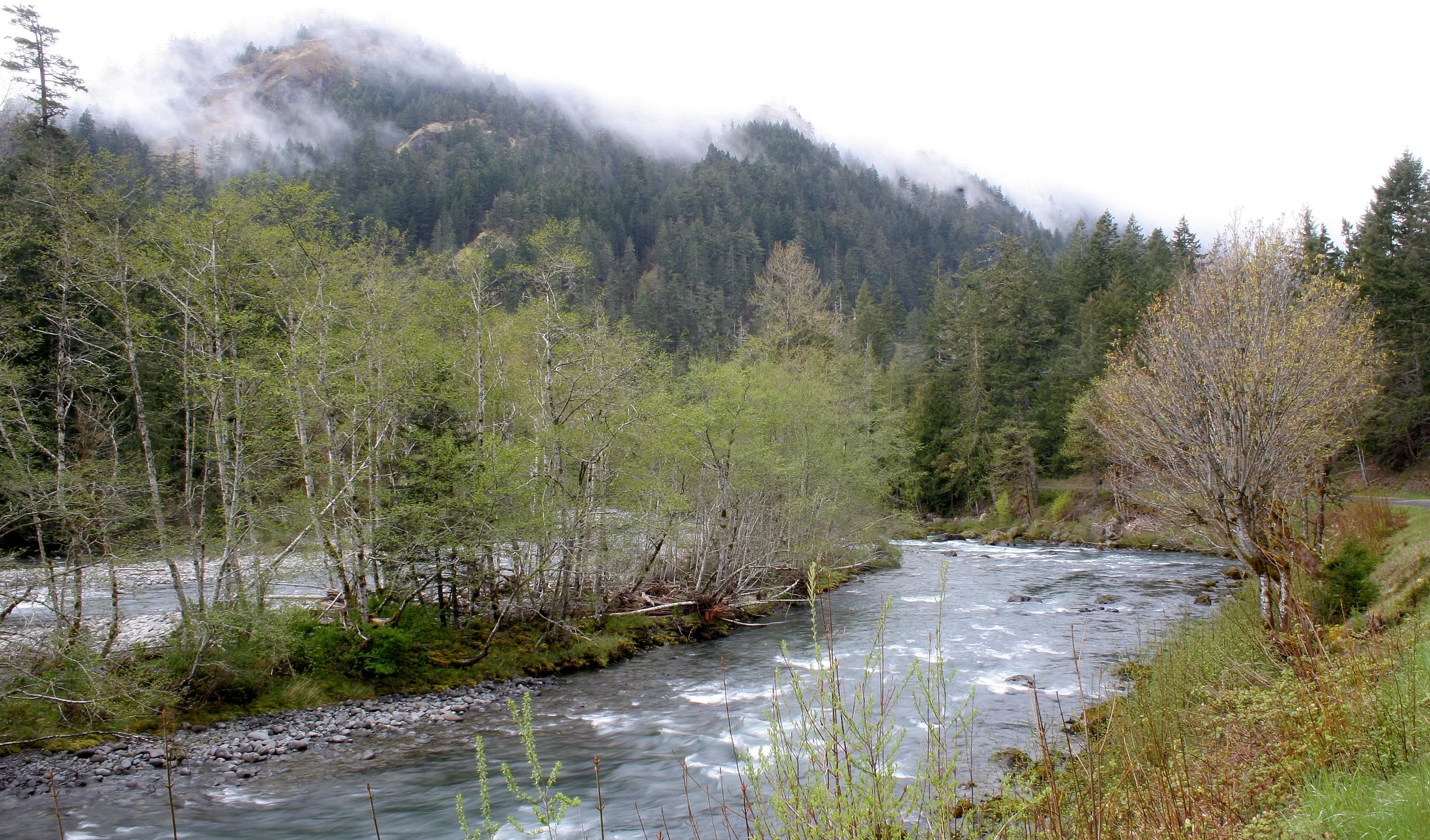 ELWHA RIVER VALLEY (12).JPG