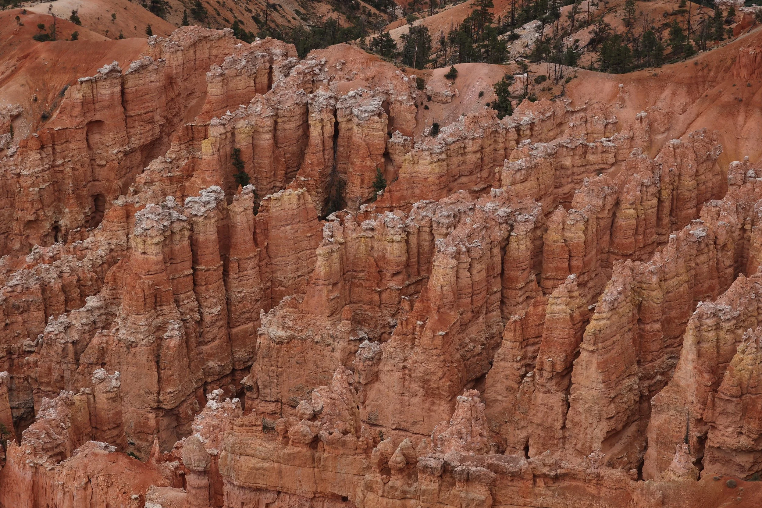 BRYCE CANYON UTAH 2022 (75).JPG