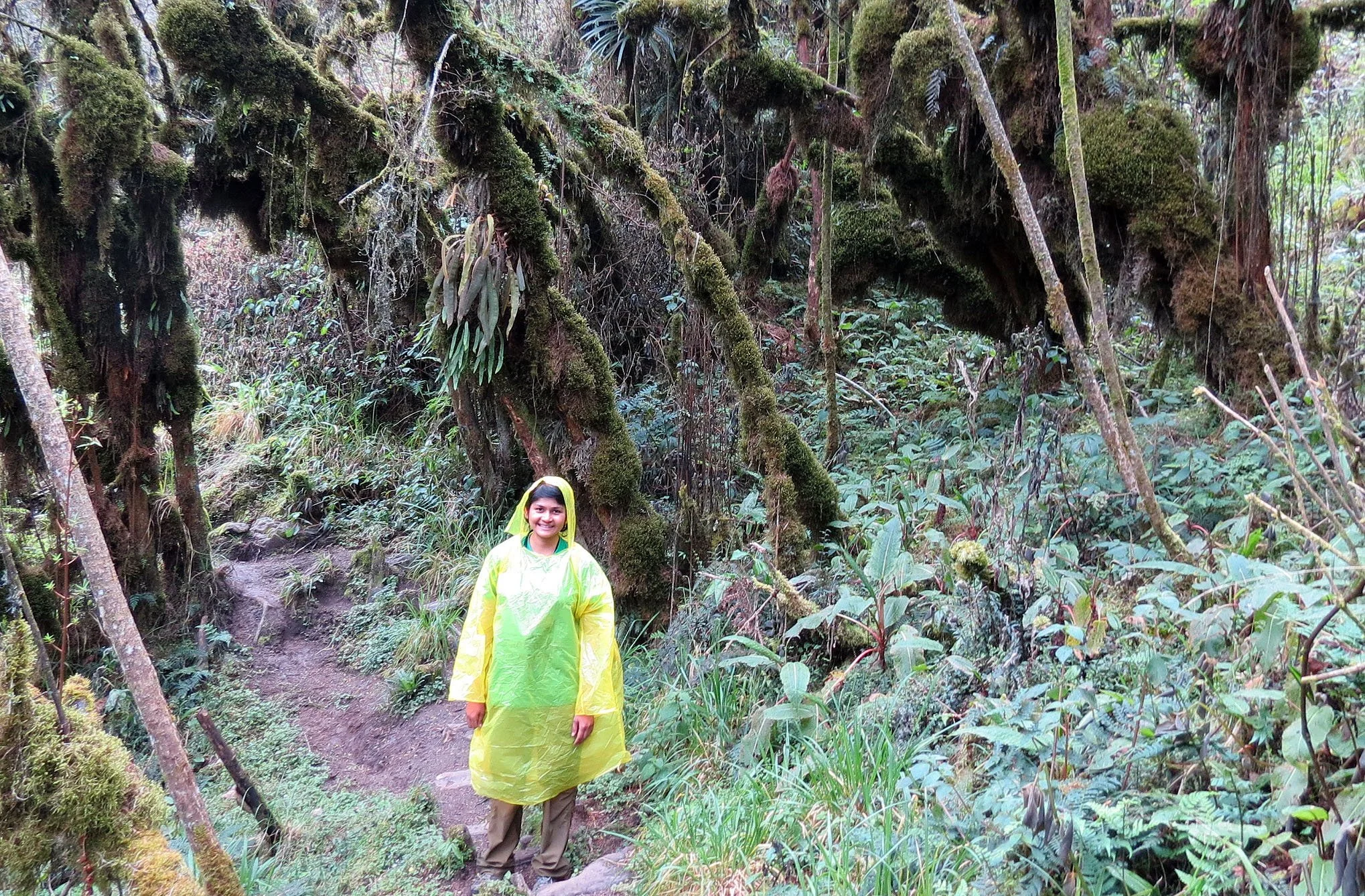 RWENZORI NATIONAL PARK UGANDA (141).JPG