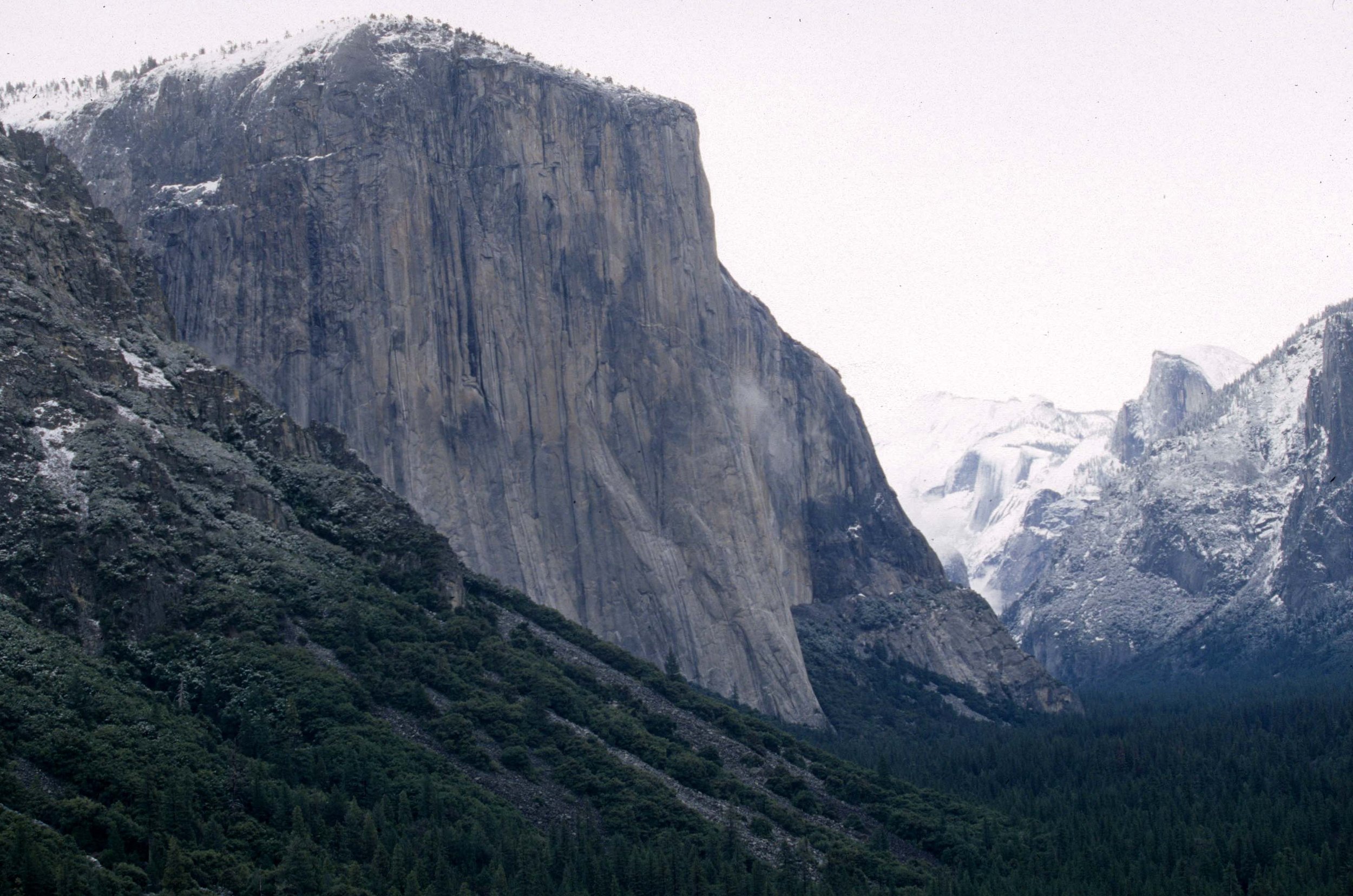 CALIFORNIA - YOSEMITE NP  (22).jpg