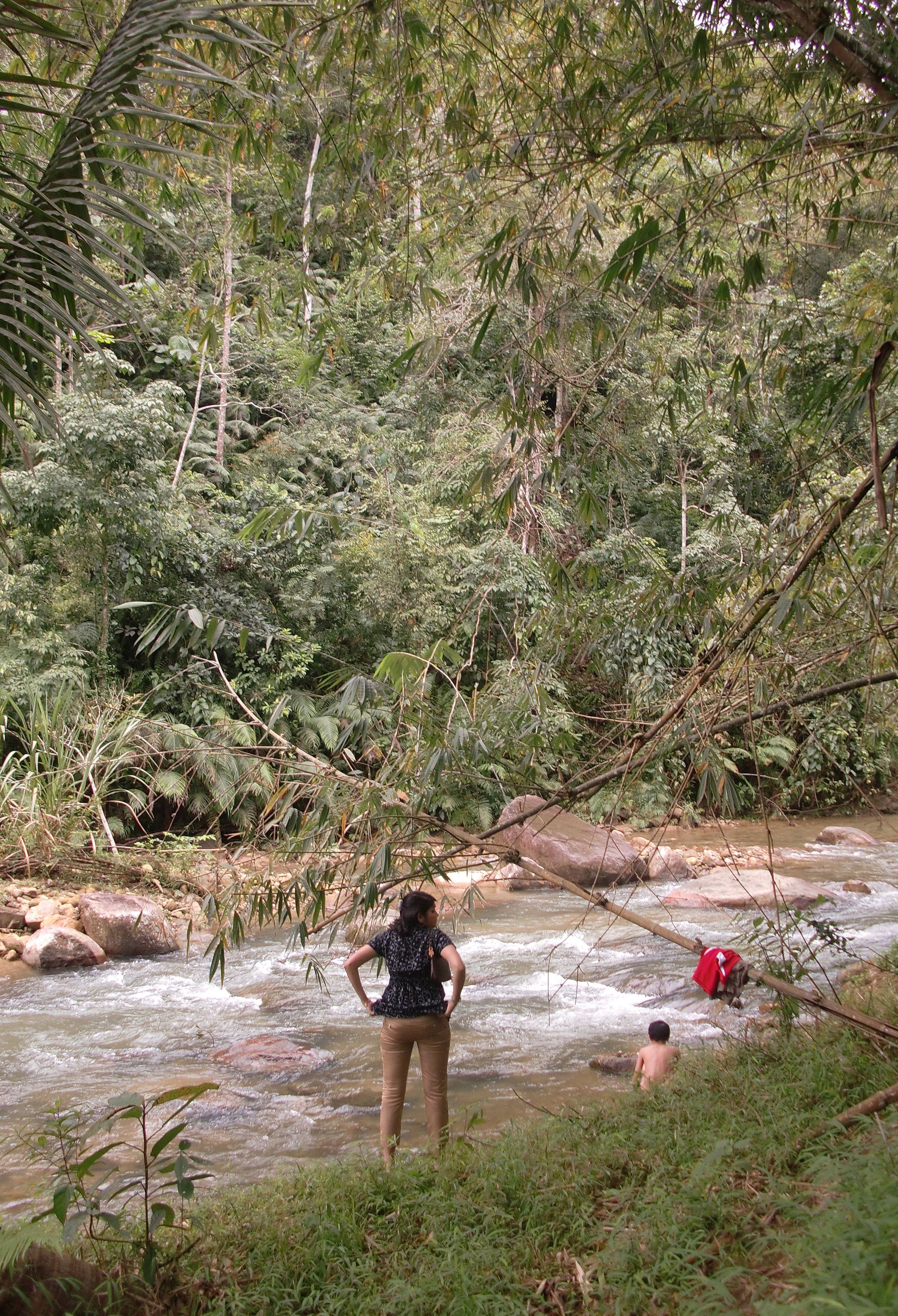 2011-12 Promluk Property before Floods and Typhoon (21).JPG