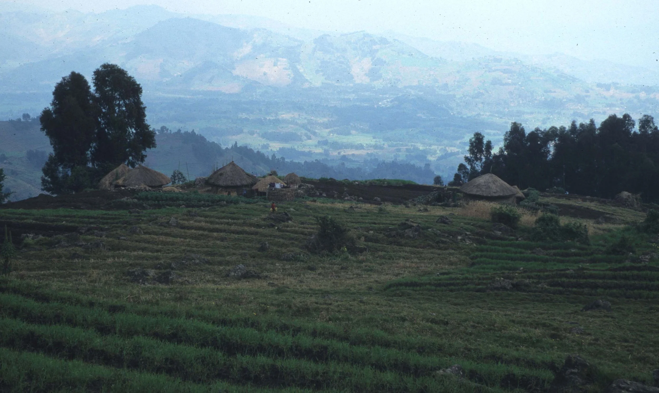 RWANDA COUNTRYSIDE 1.jpg6.jpg