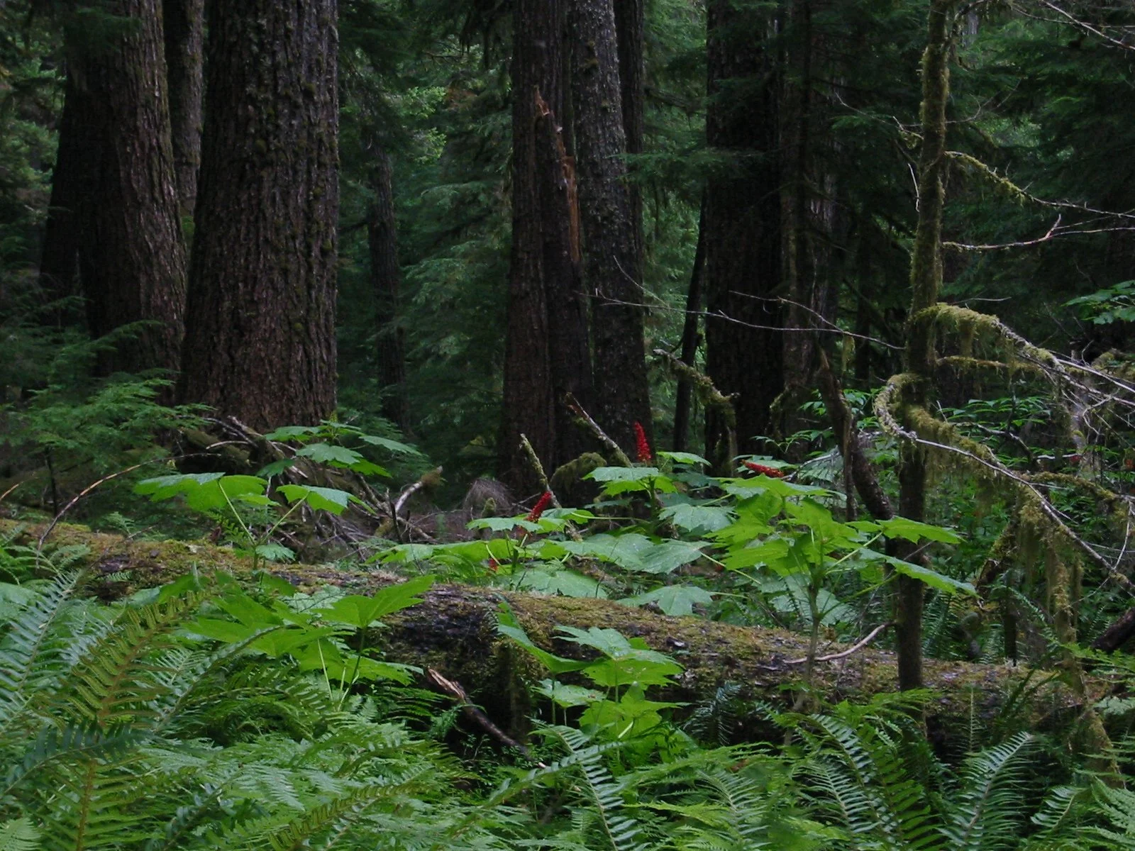 2003-8-3 WASHINGTON VISIT WITH THE ROBINSONS (84).JPG