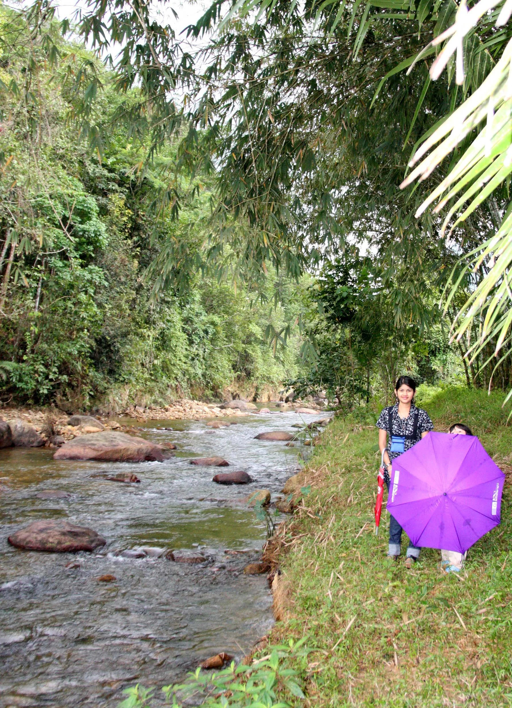 2009 Promluk Property Views (36).JPG