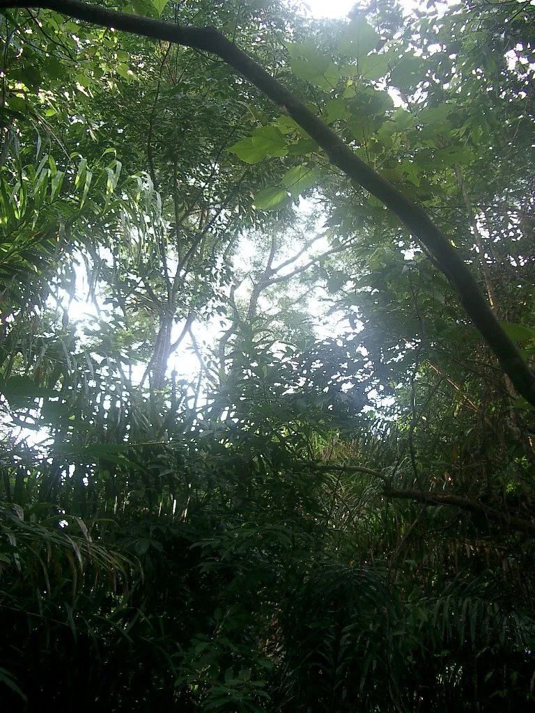 KOH LANTA - PROPERTY - 2004.JPG