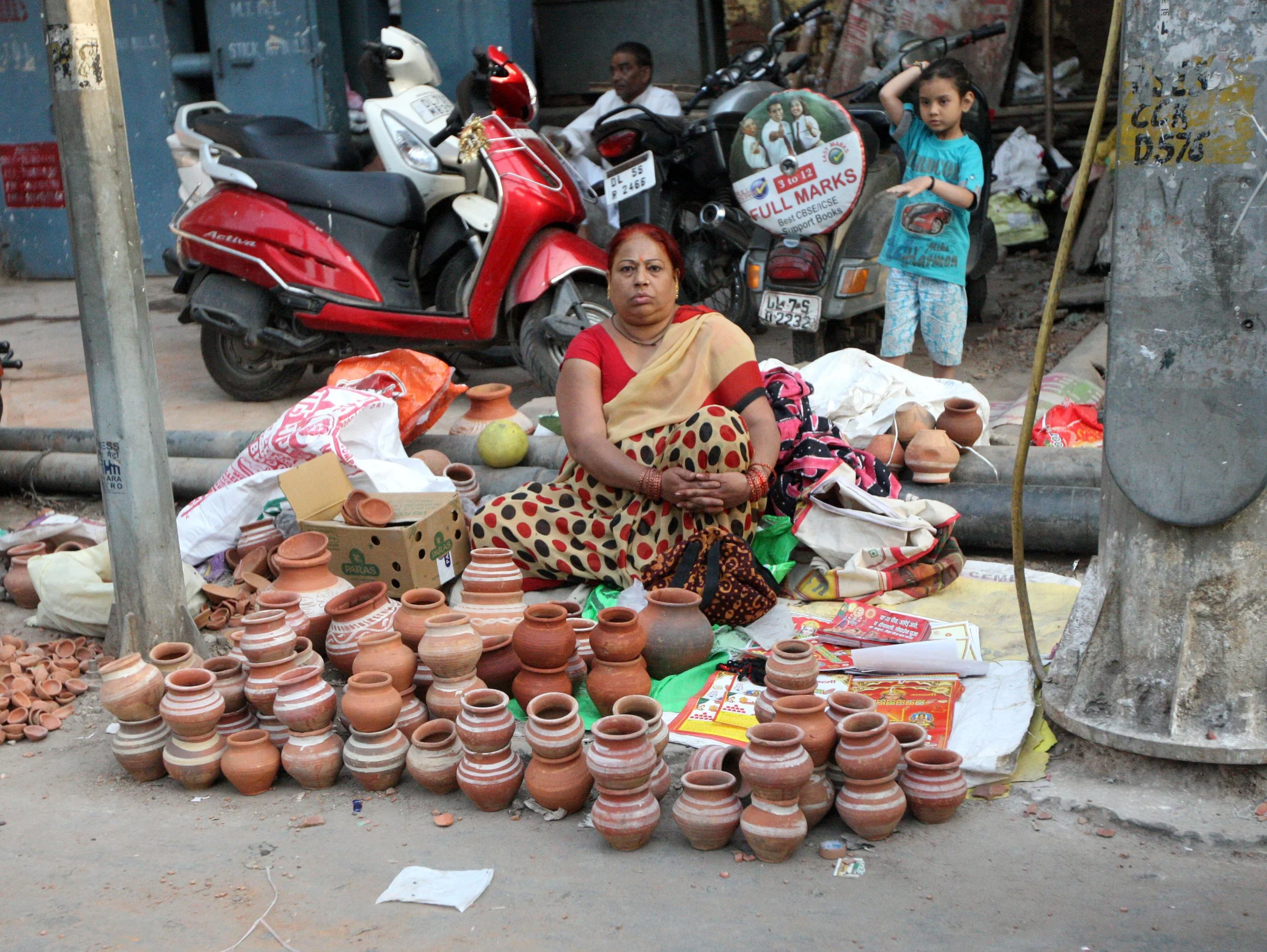 OLD DELHI INDIA - SNOW LEOPARD TRIP 2014 (69).JPG