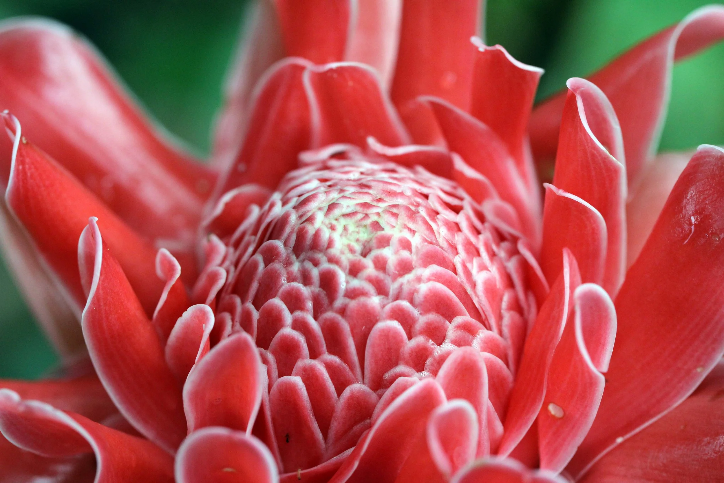 2013 in Nakhonsithammarat and some Krabi with Family (40).JPG