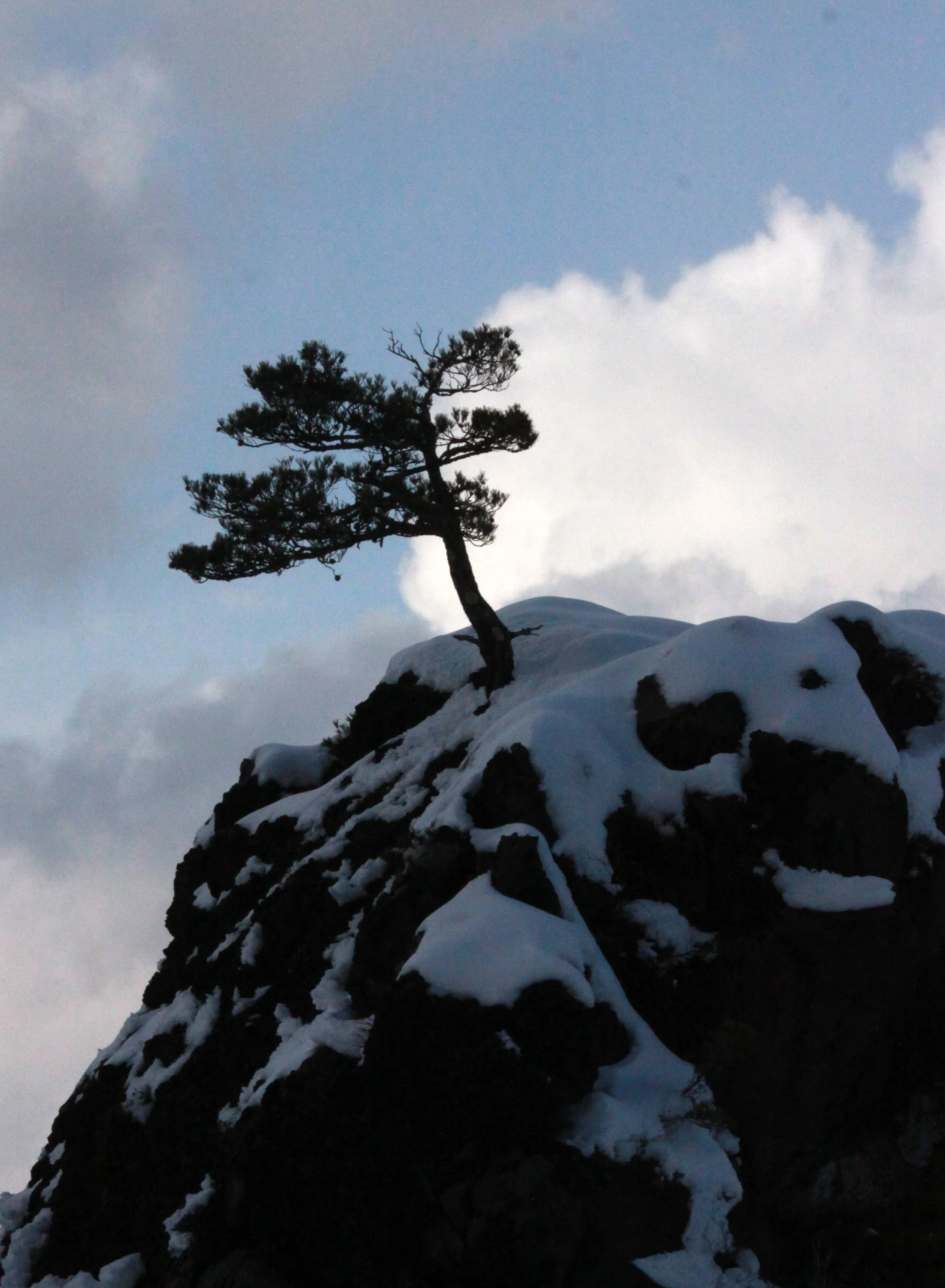 MOUNT ASAMA - JOSHIN'ETSUKOGEN NATIONAL PARK JAPAN (100).JPG