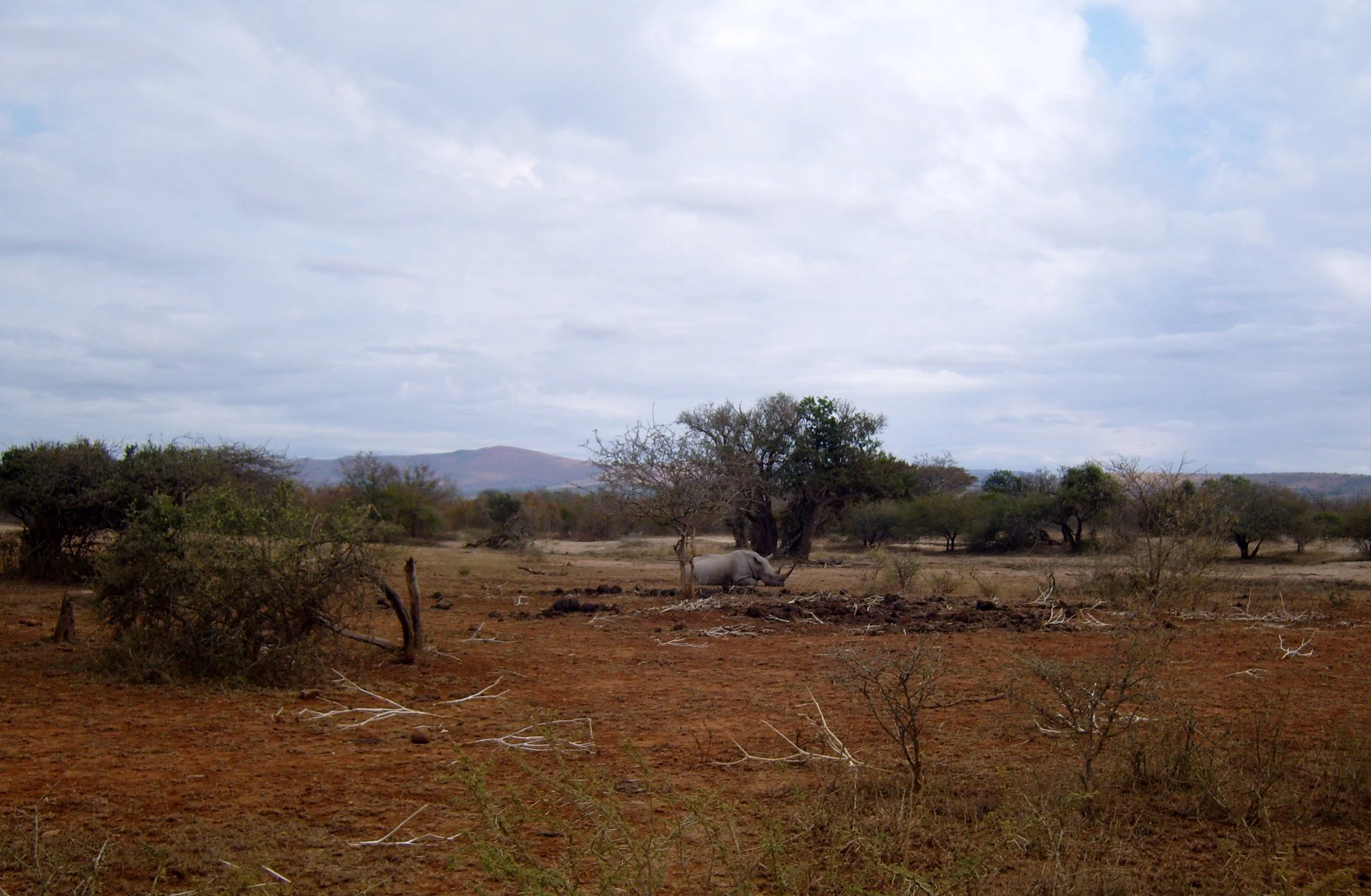 2009-6-18 COKIE'S IMAGES - MADAGASCAR AND AFRICA (14).JPG