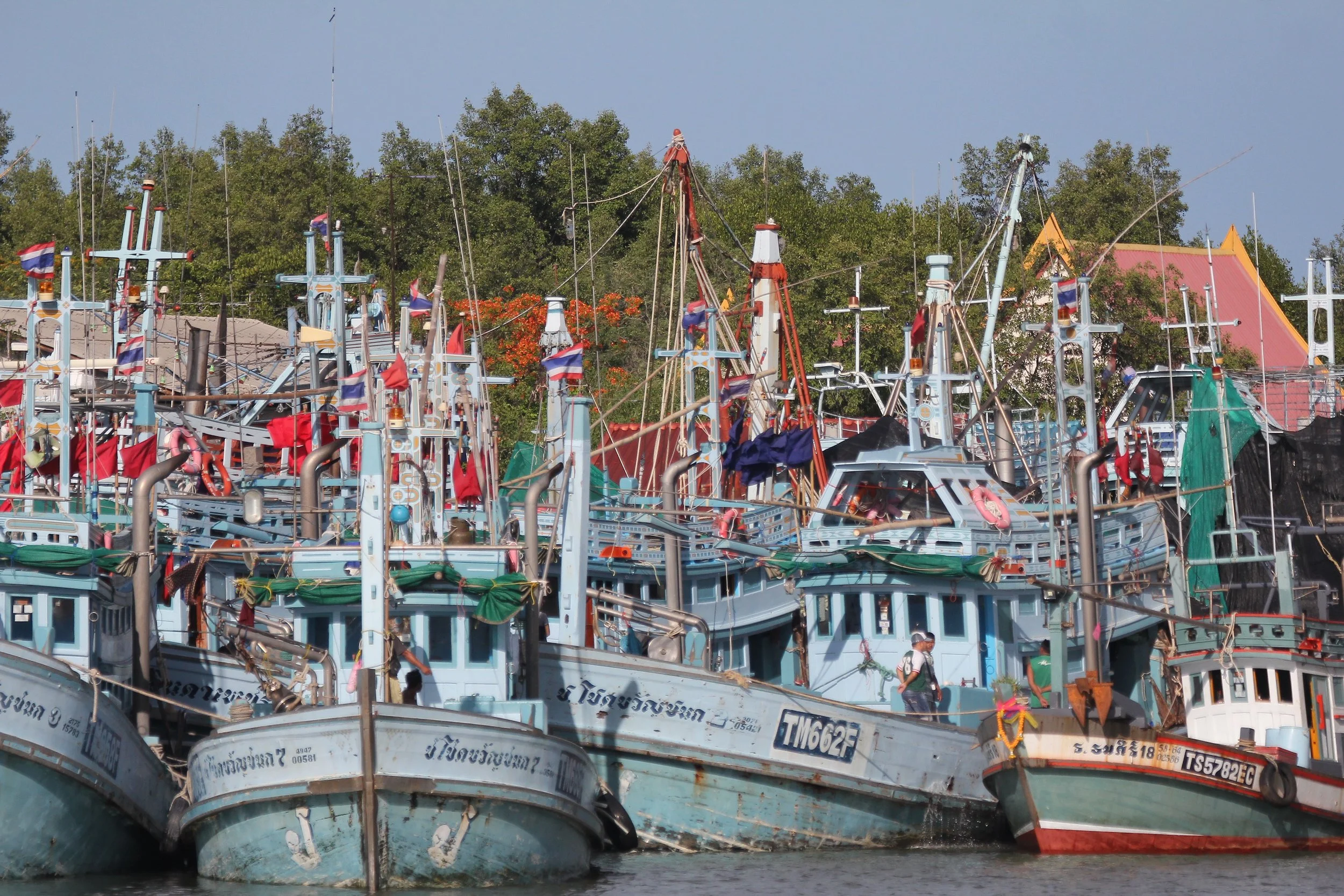 2020 Petchaburi Day Trip to Drop Off Pea & Pete (404).JPG