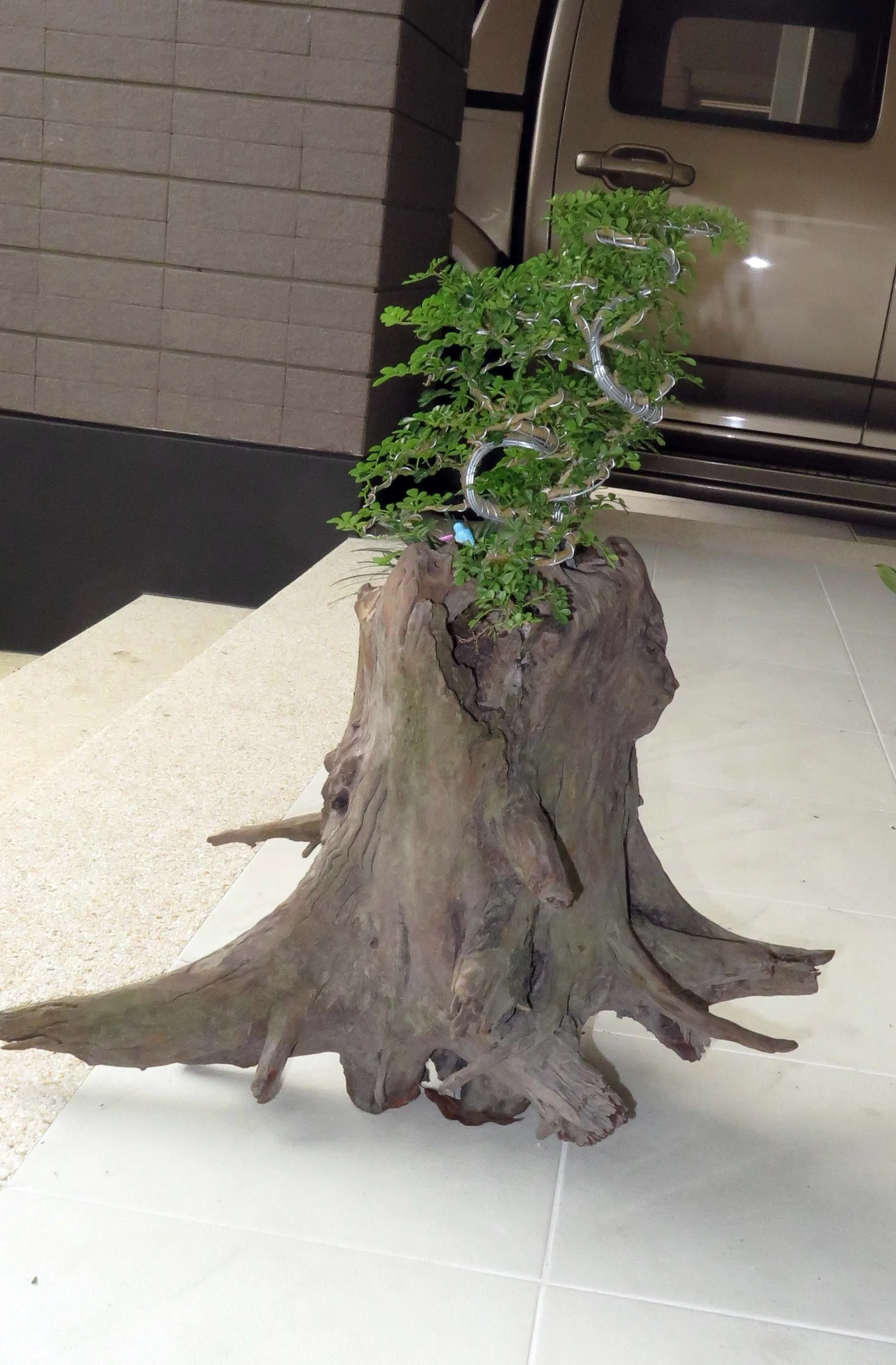 2013 Nonthaburi Setthasiri House and Nonthaburi Neighborhood (19).JPG