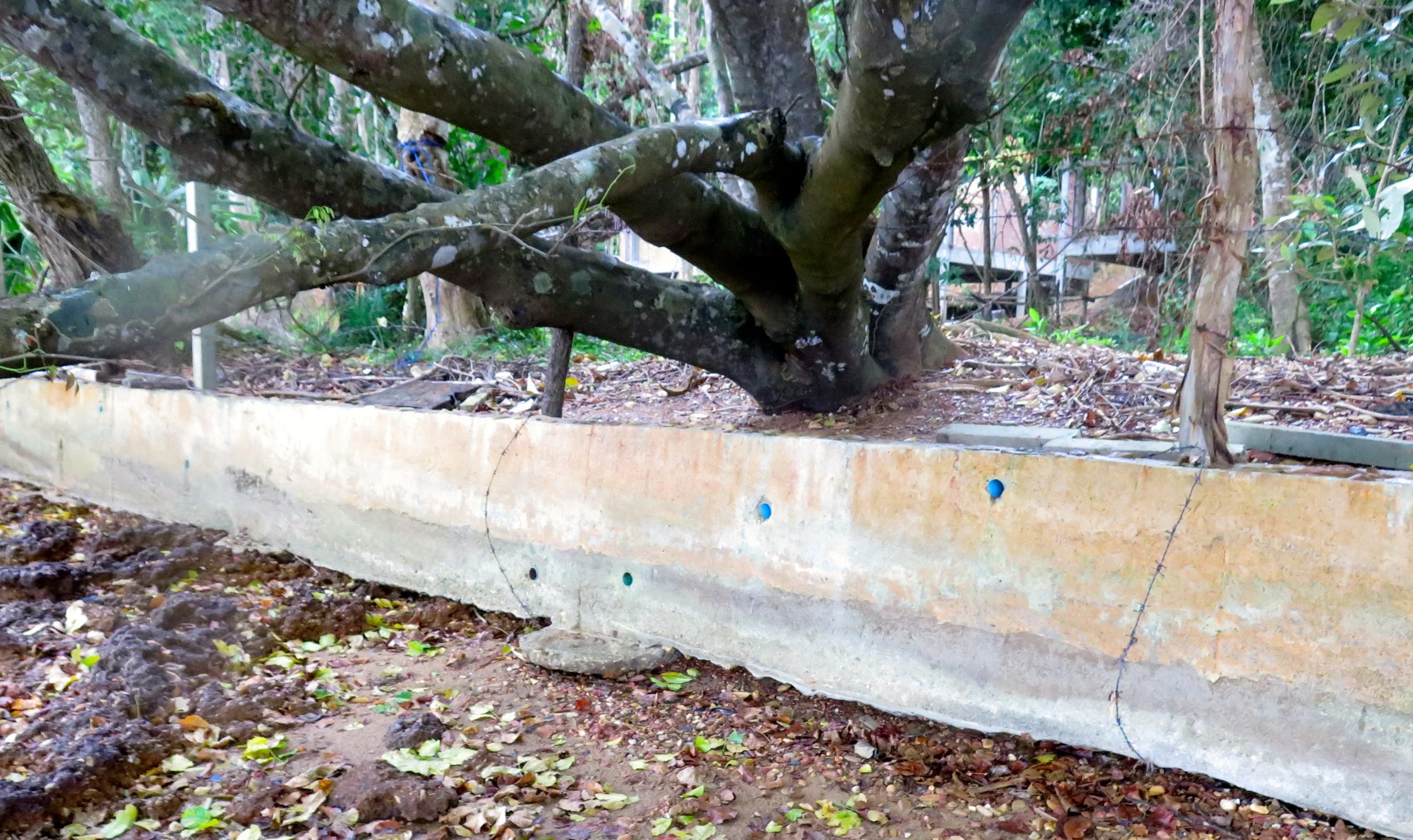 LANTA PROJECT - NOVEMBER 2014 UPDATE (79).JPG