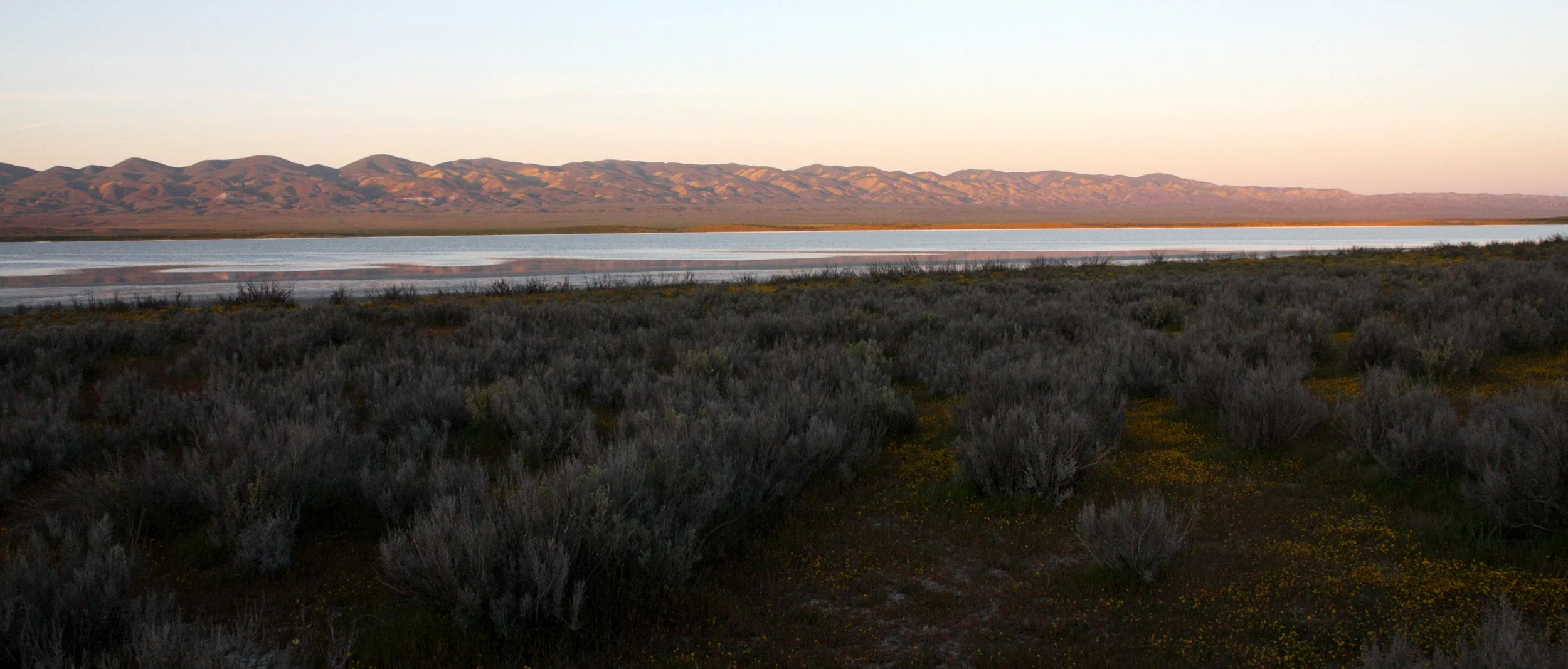 CARRIZO PLAIN NATIONAL MONUMENT - VIEWS OF THE REGION - ROADTRIP 2010 (75).JPG