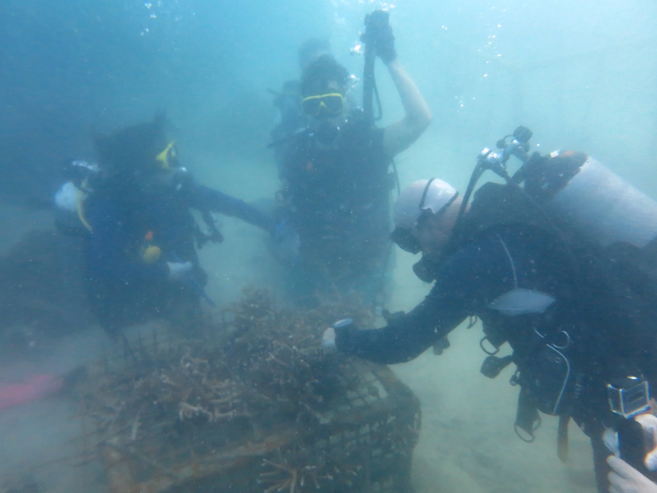 2016 BPS Satthahip Dive Trip with Marine Conservation Club (11).JPG
