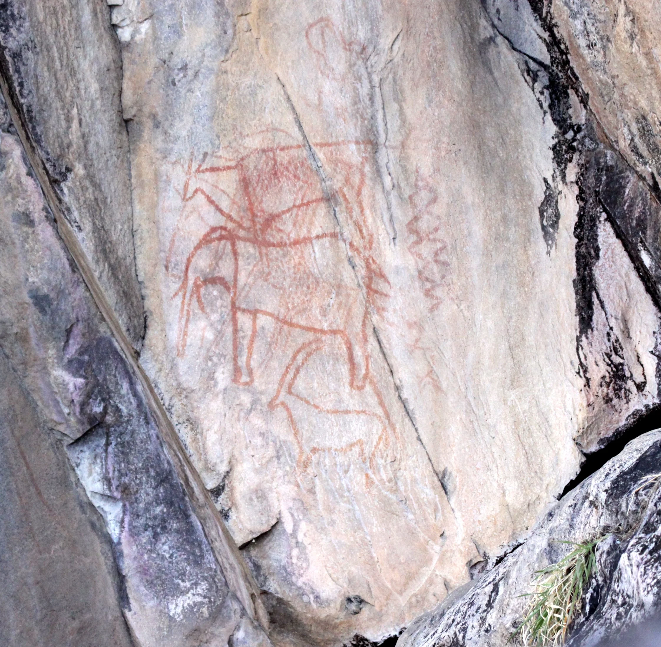 CHOBE NATIONAL PARK BOTSWANA - BUSHMAN ART - SAVUTI (2).JPG