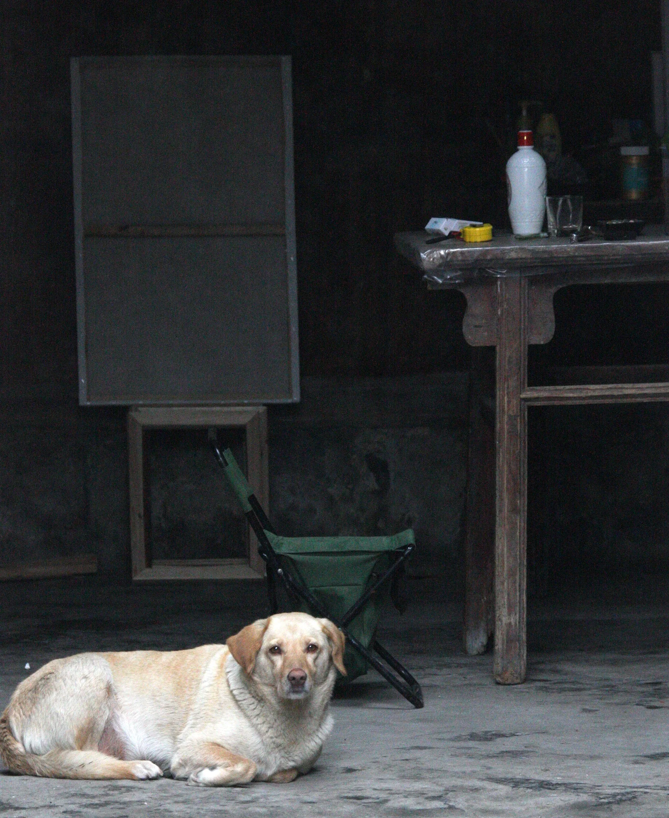 HONGCUN VILLAGE - ANHUI PROVINCE CHINA (83).JPG